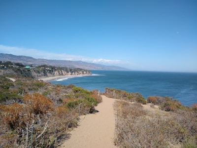 a path leading to the beach on a sunny day