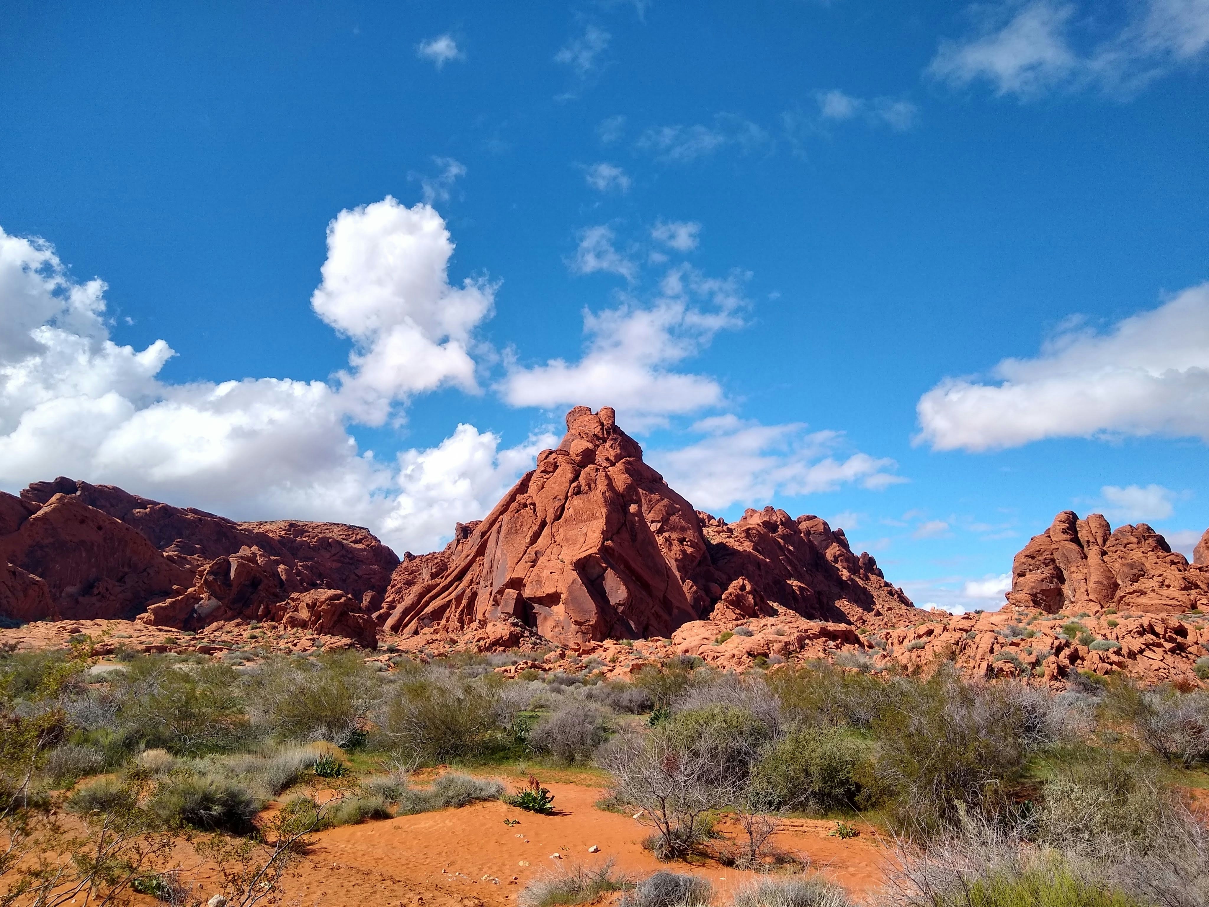 Photo by extra_prolific