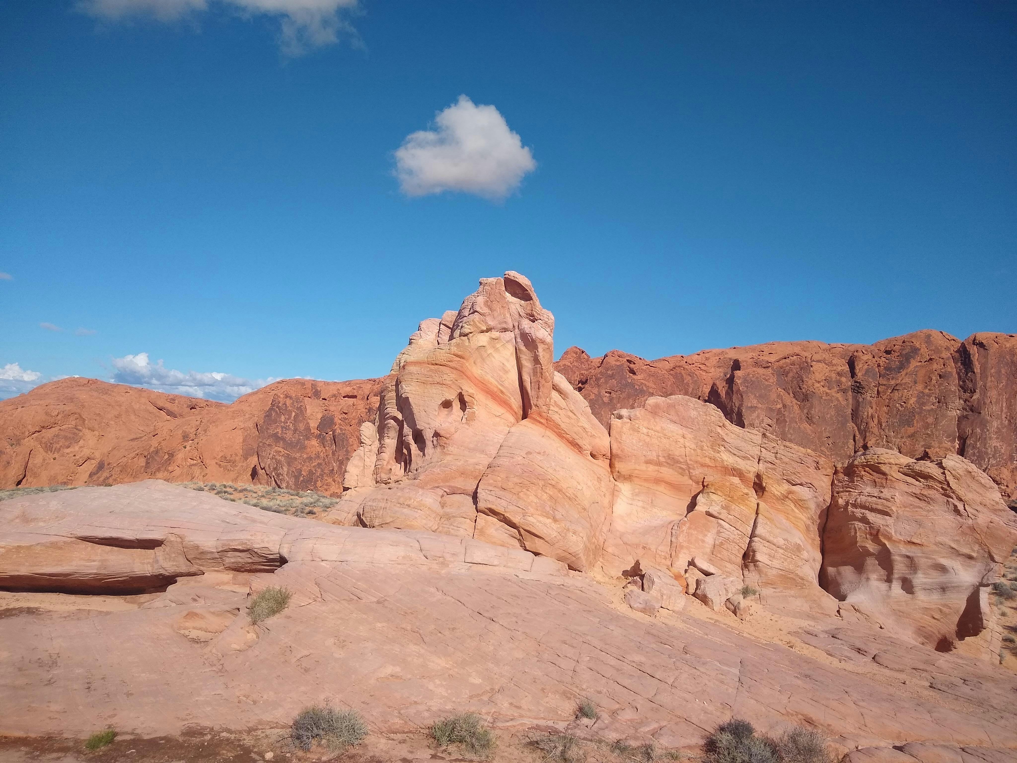 Photo by extra_prolific