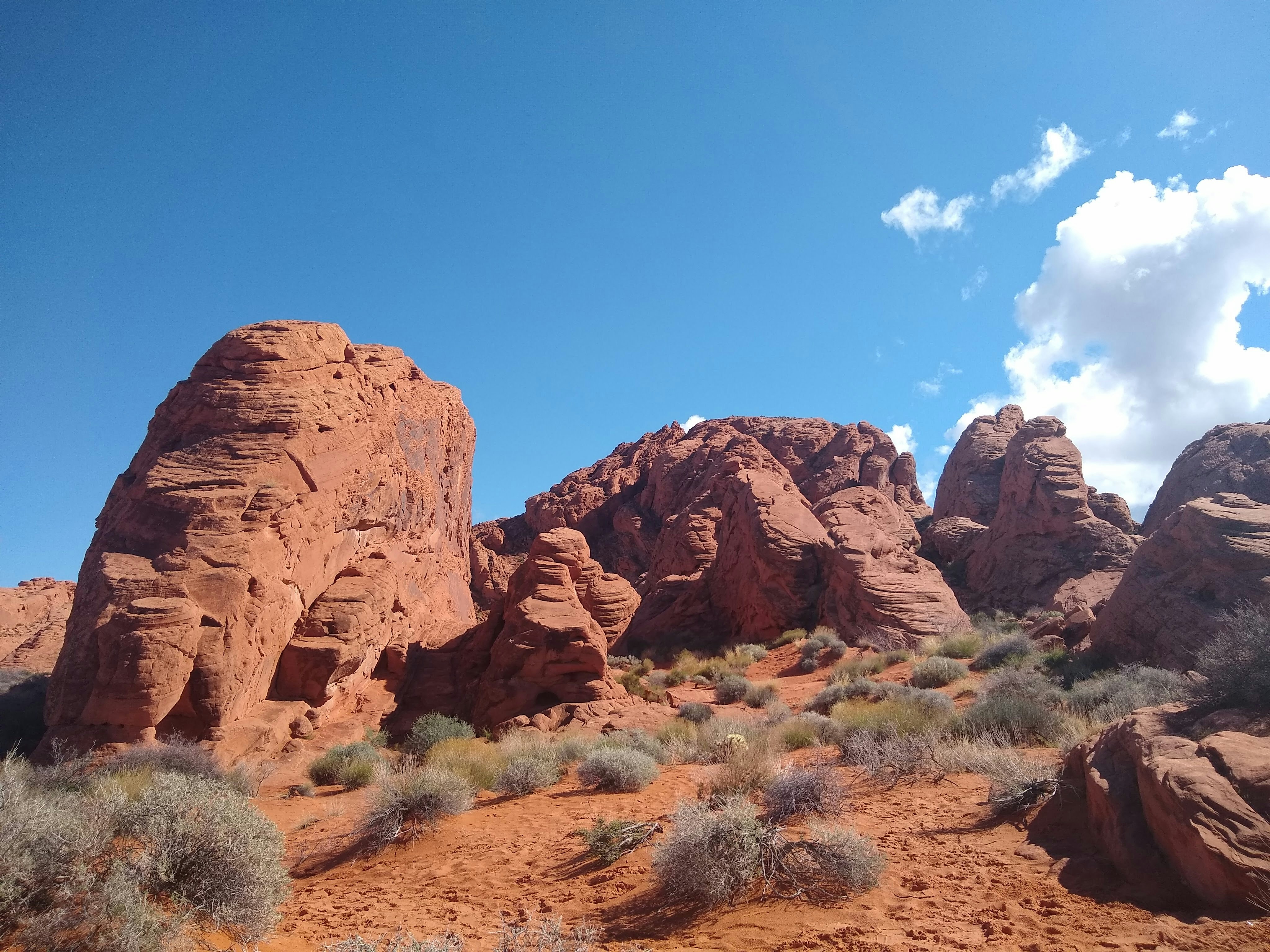 Photo by extra_prolific