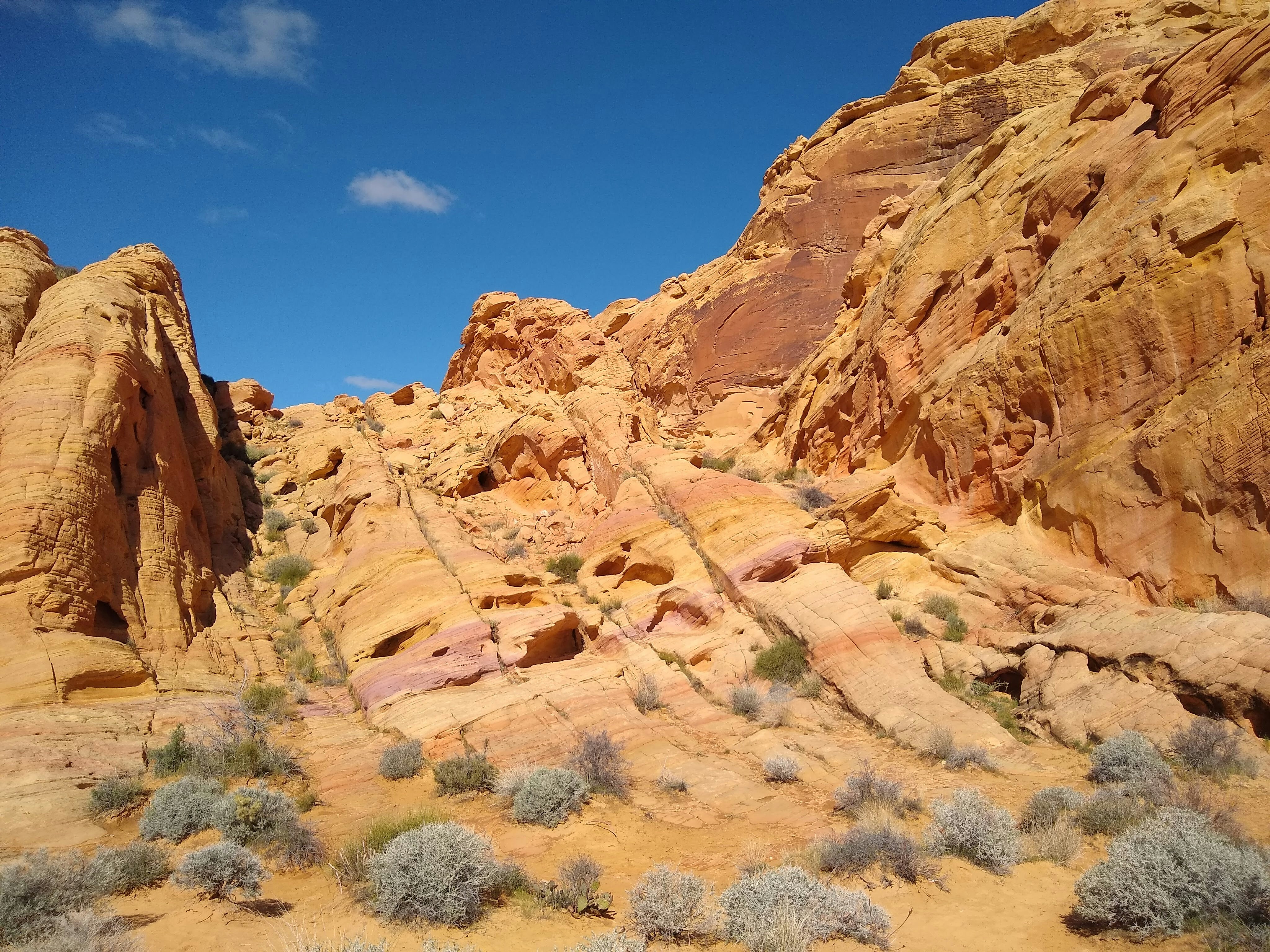 Photo by extra_prolific