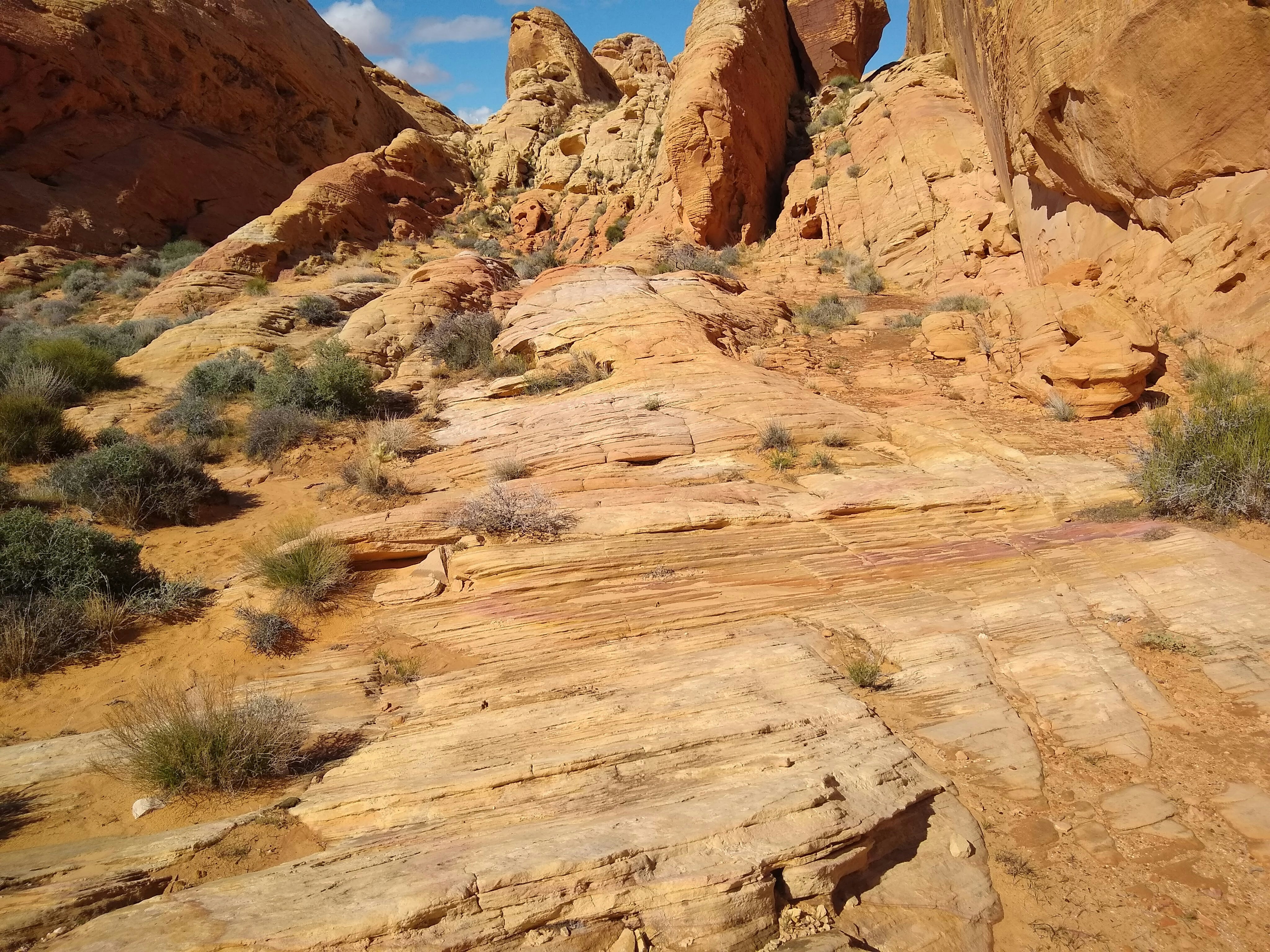 Photo by extra_prolific