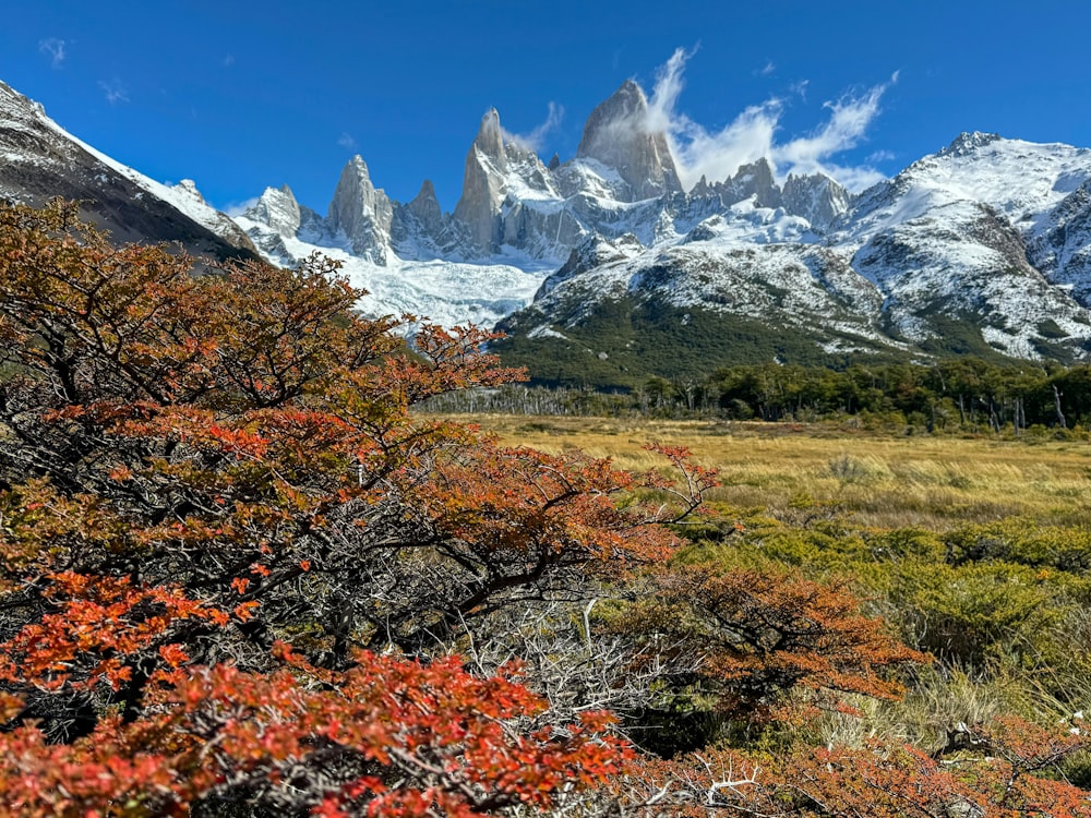 una veduta di una catena montuosa in lontananza