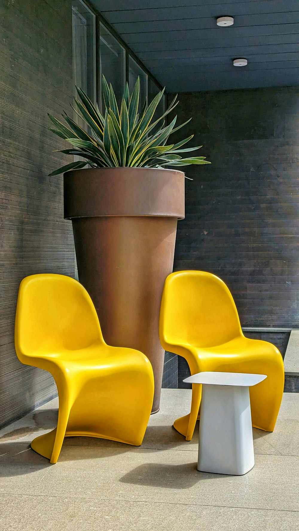a couple of yellow chairs sitting next to a potted plant