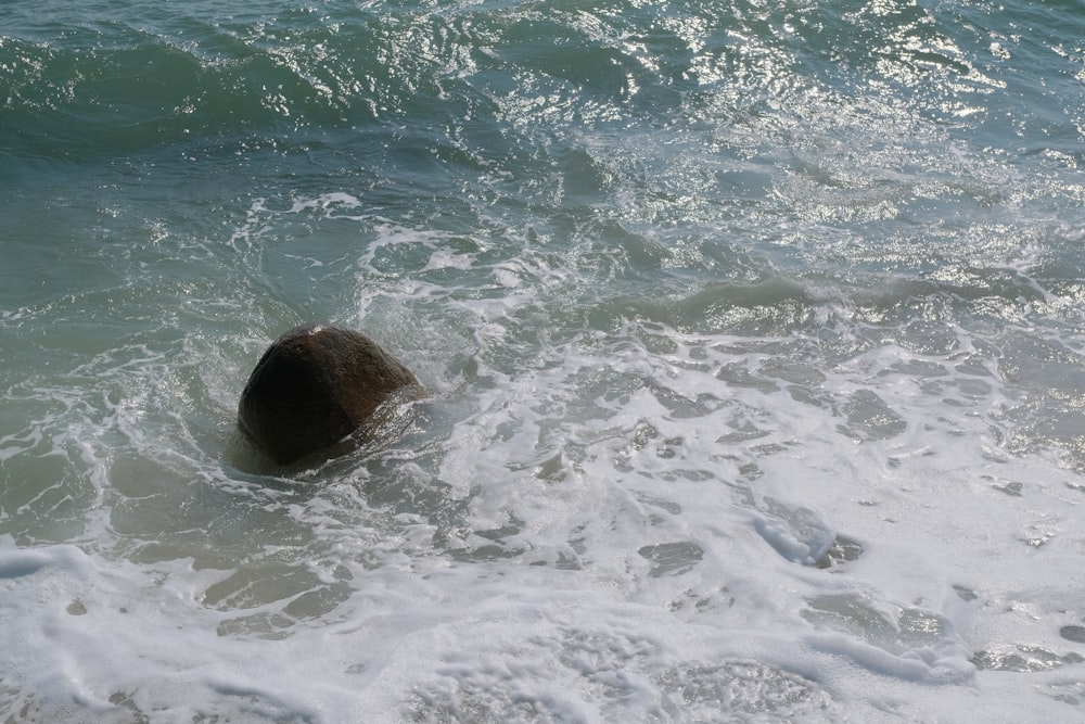 a rock sticking out of the ocean water