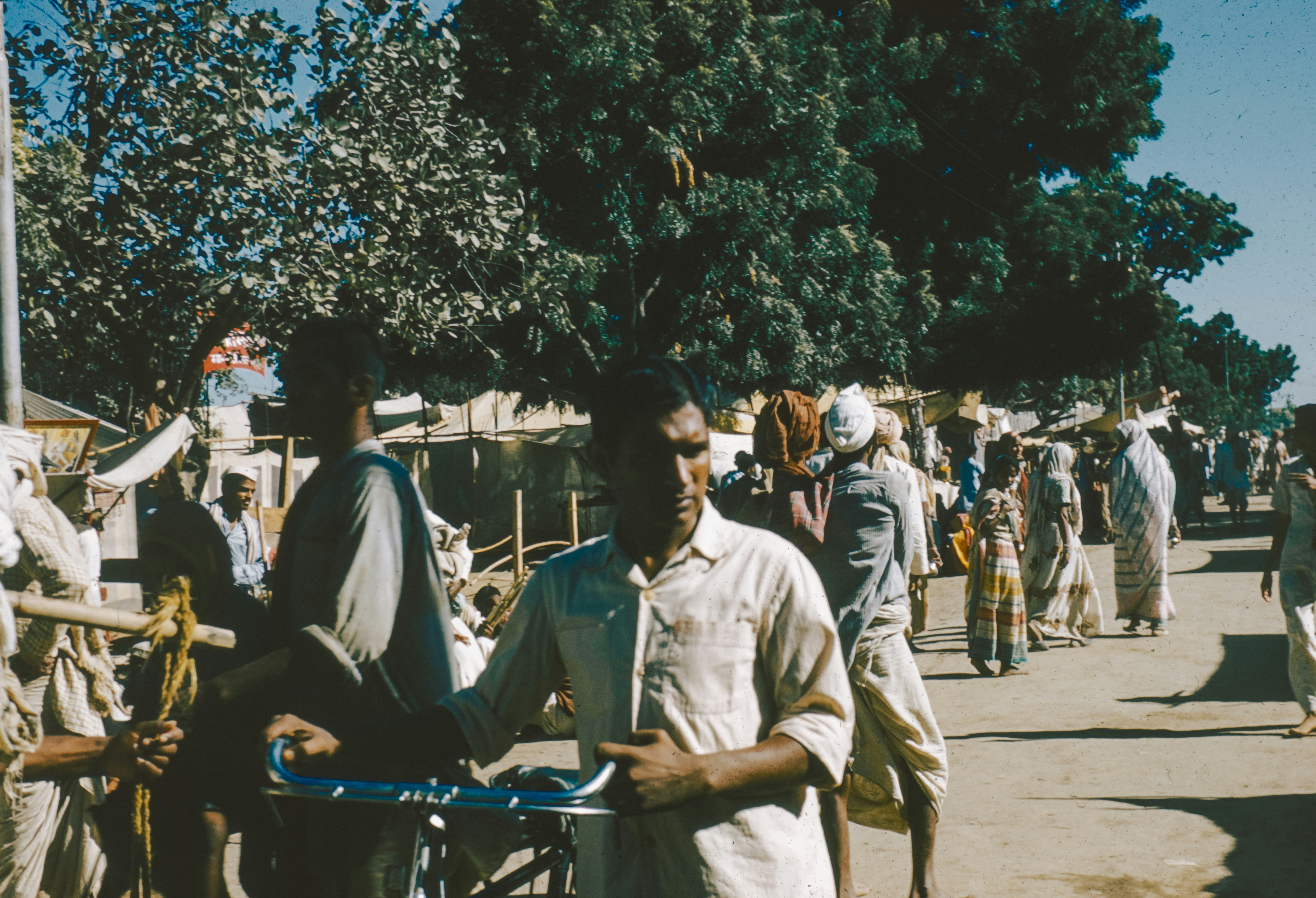 Photo by anniespratt