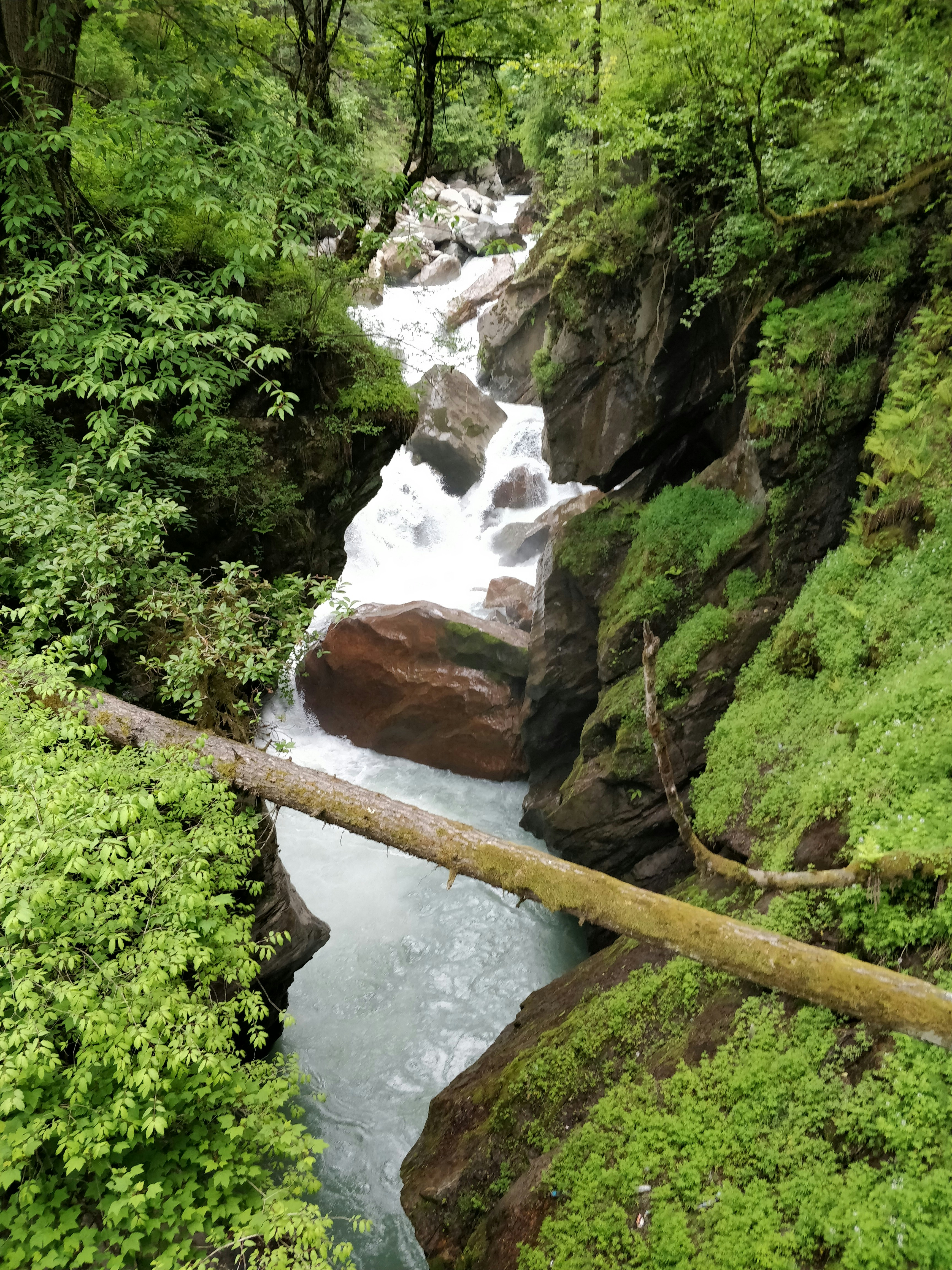 Photo by freebiesmockup