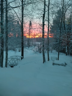 the sun is setting in the distance behind the trees
