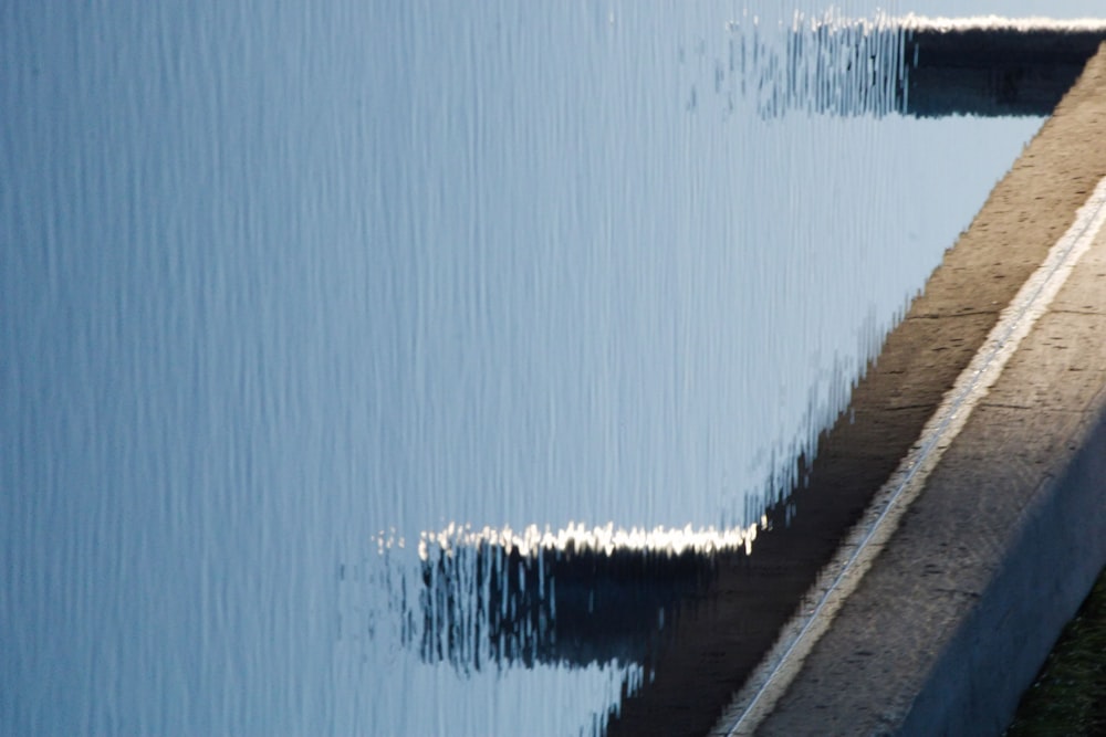 a bird standing on the edge of a body of water