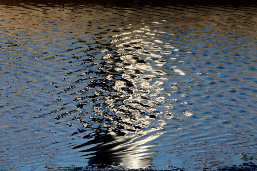 a reflection of a building in the water