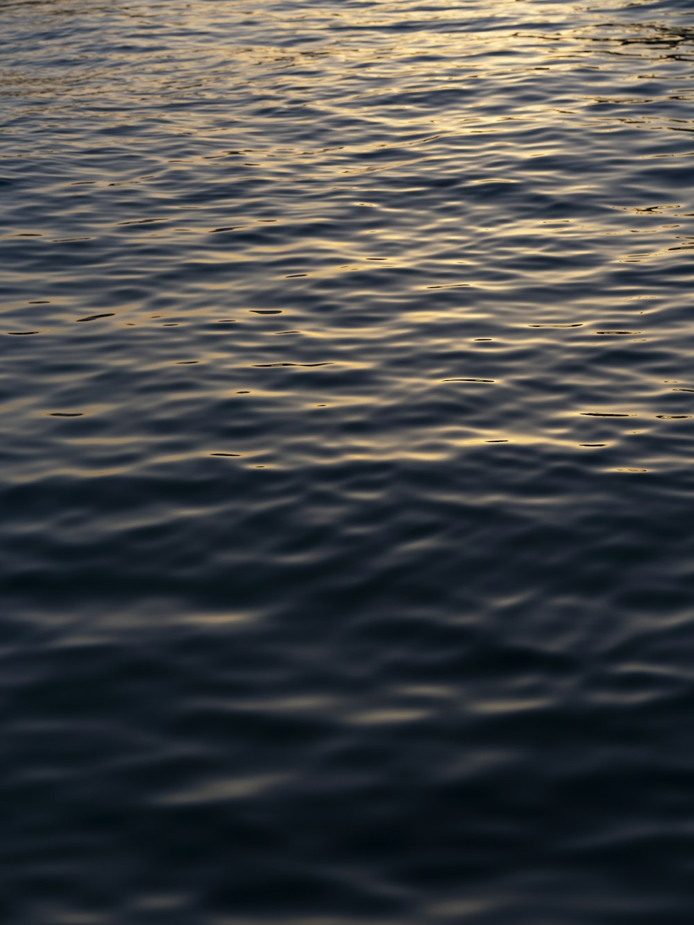 a large body of water with a boat in the distance