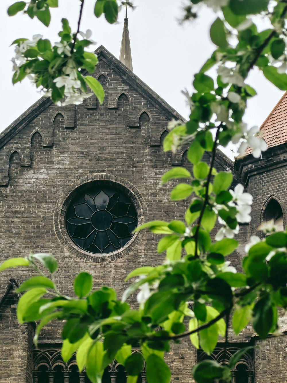 a church with a clock tower and a tree in front of it