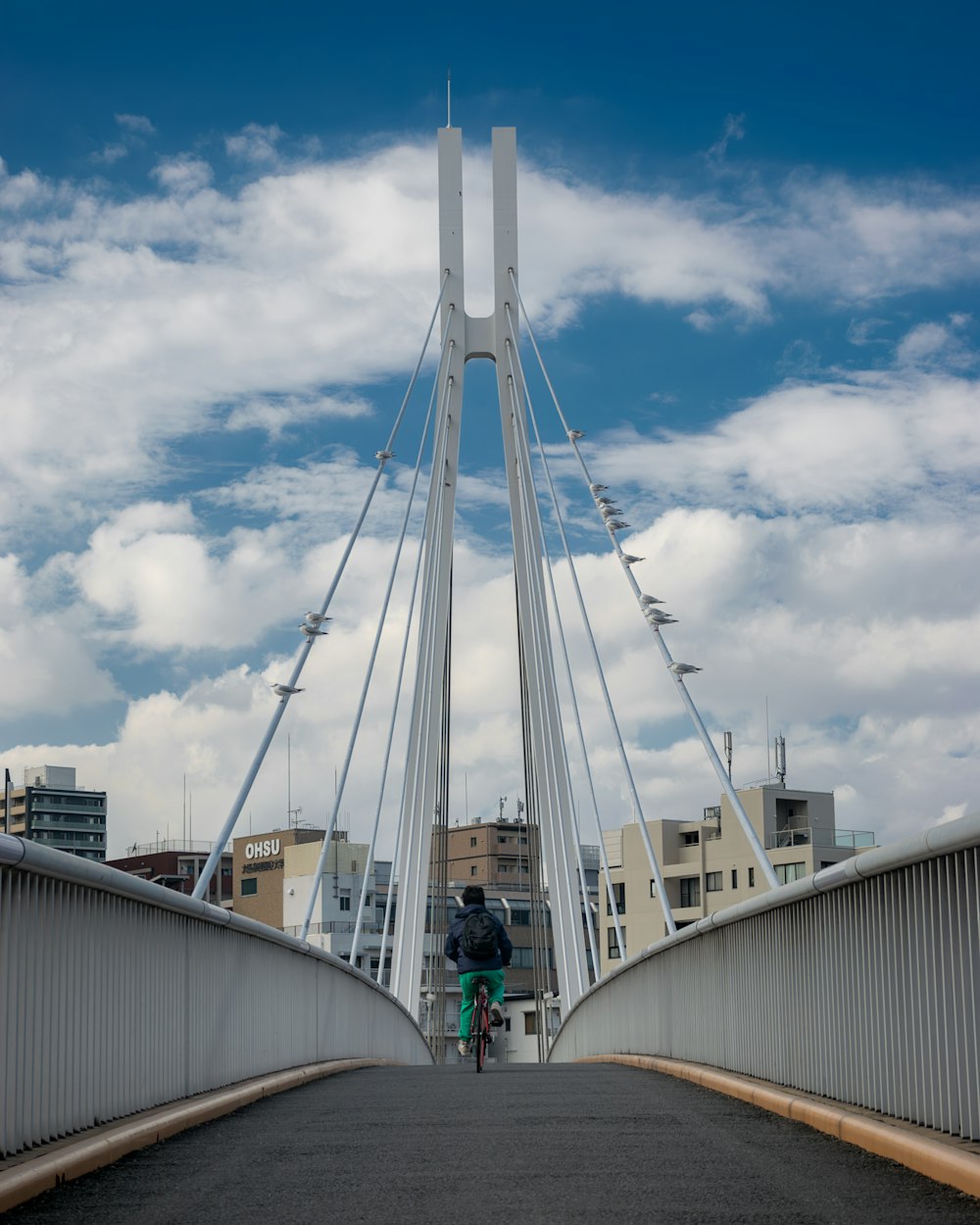 a person riding a bike across a bridge