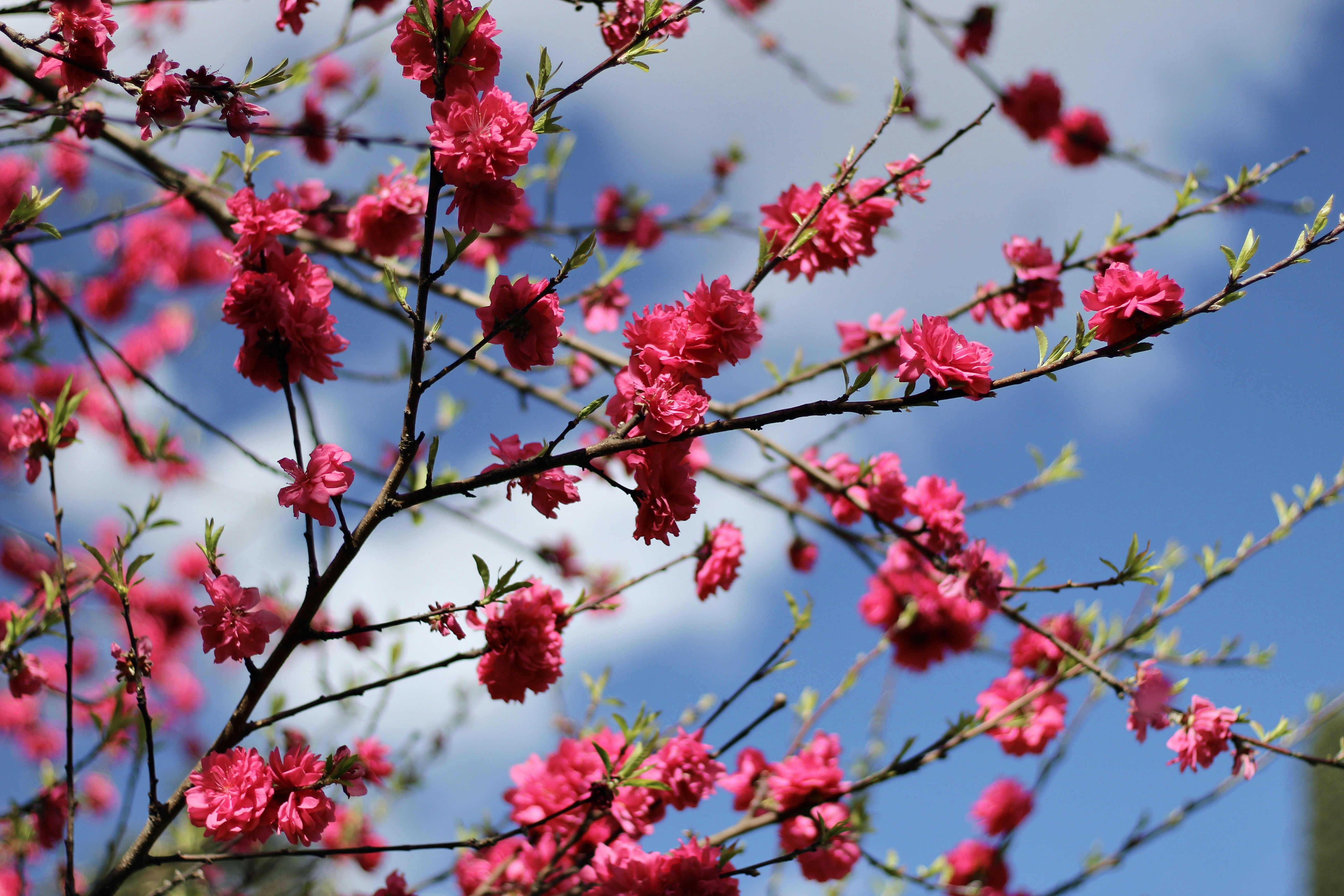 Photo by lorenzo_turroni