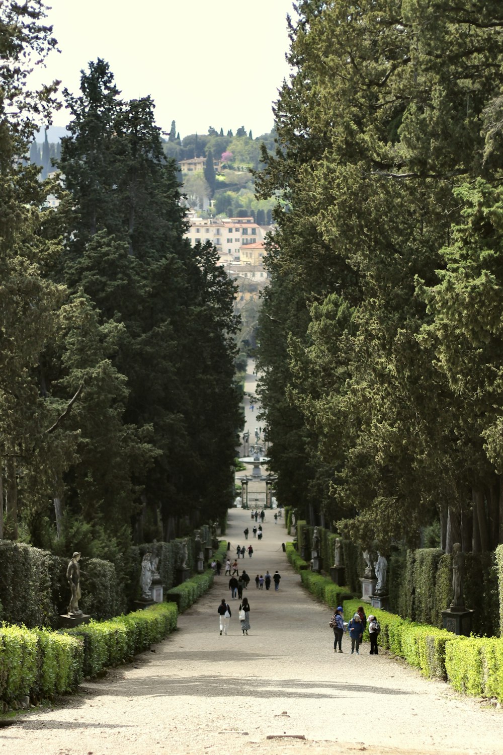 a group of people walking down a road surrounded by trees