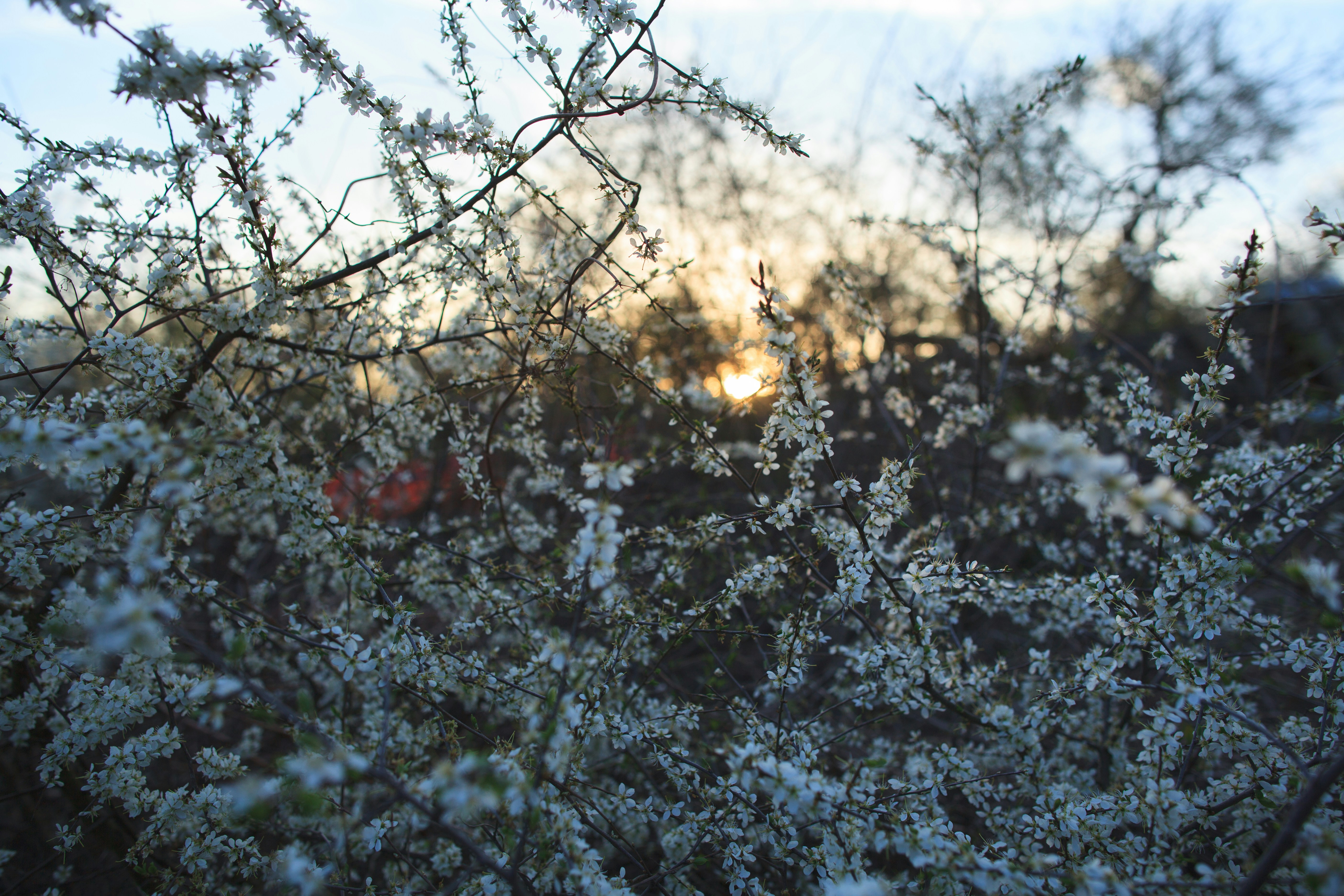 Photo by andriyba