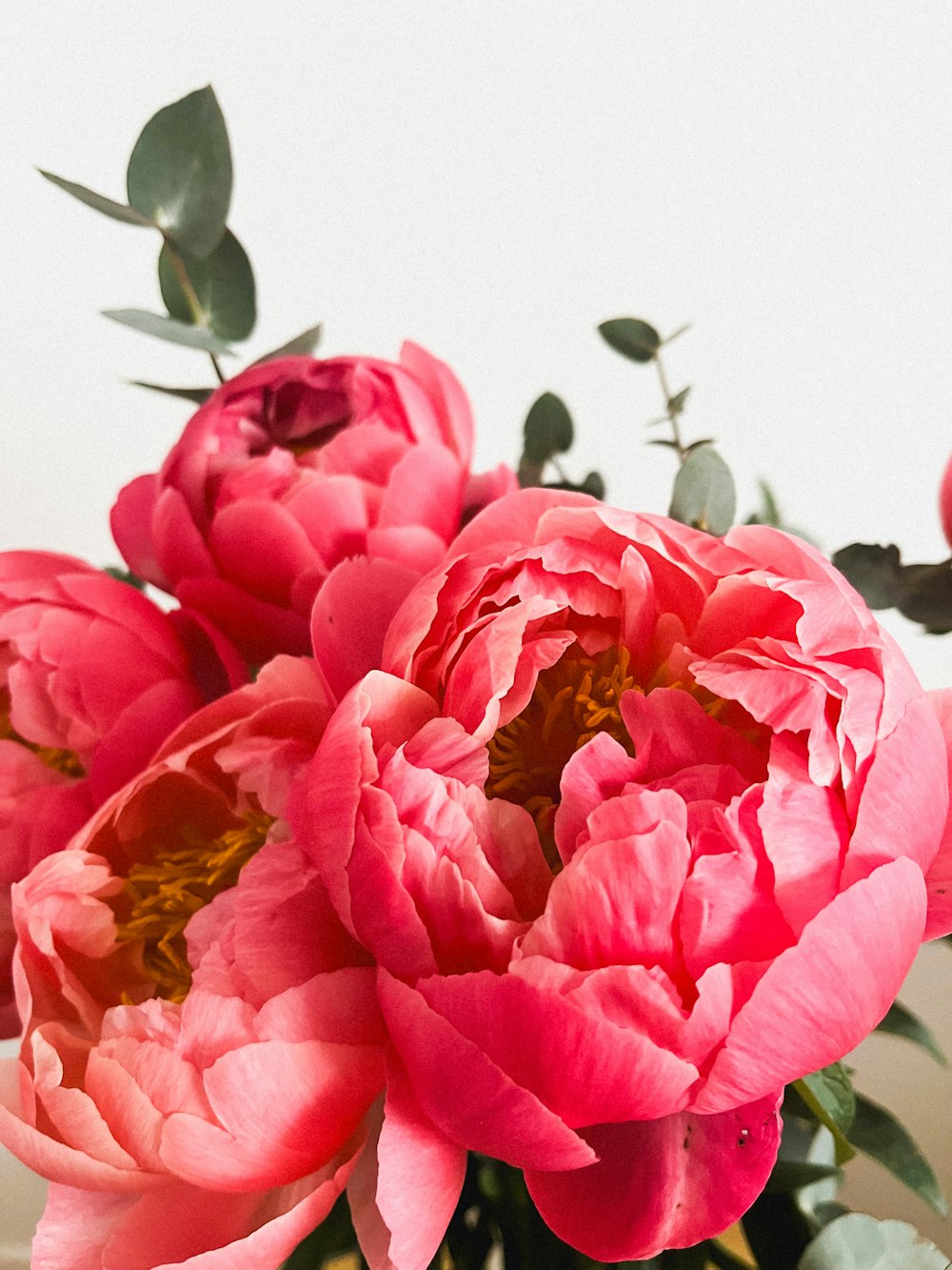 a vase filled with pink flowers on top of a table