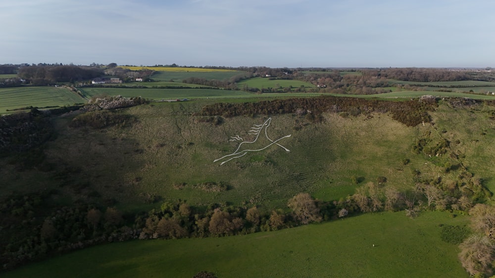 a bird's eye view of a green field with a white horse on it