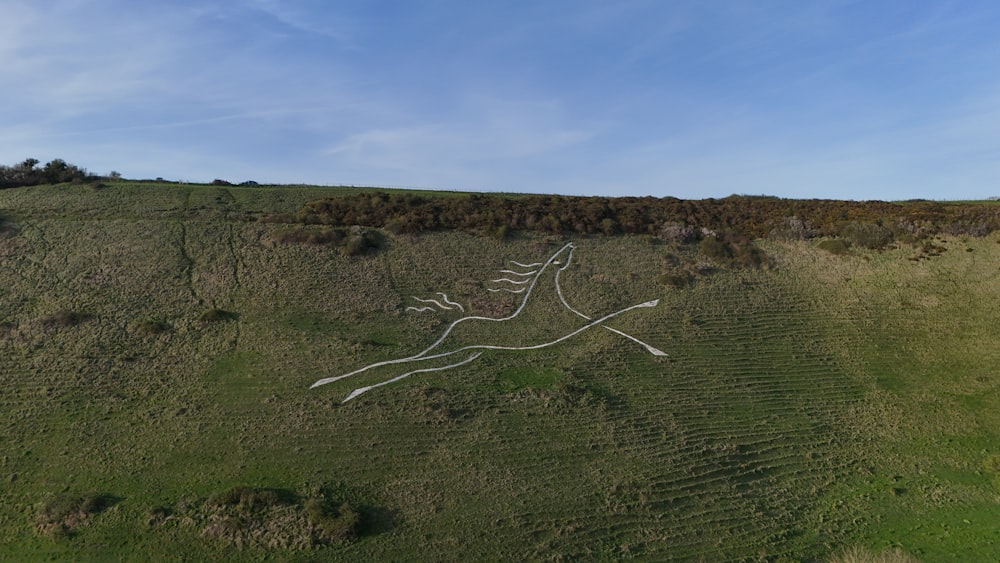 an aerial view of a horse drawn in the grass