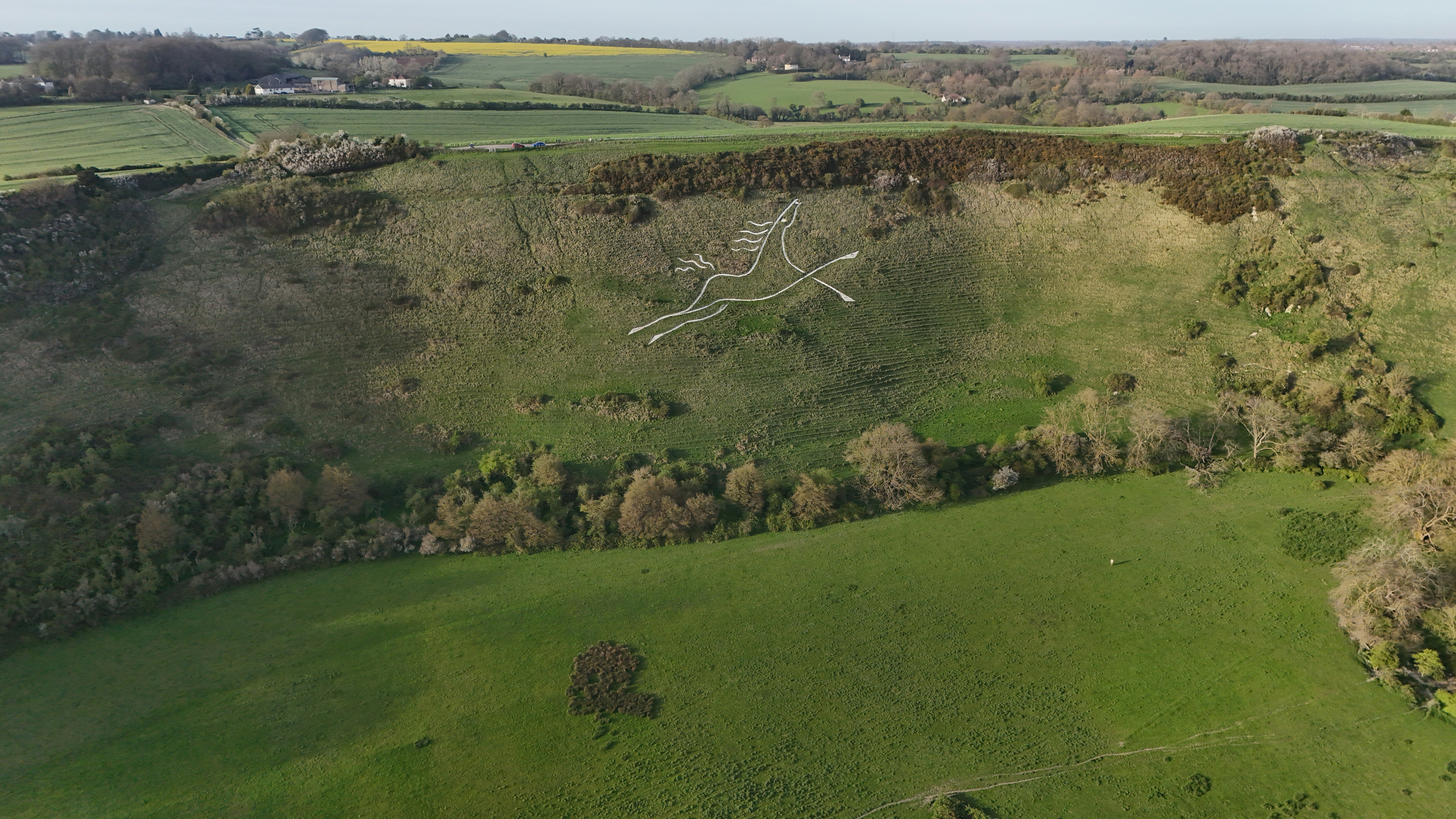 a bird's eye view of a green field with trees