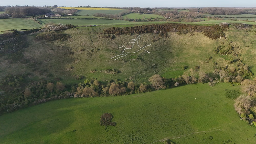 a bird's eye view of a green field with trees