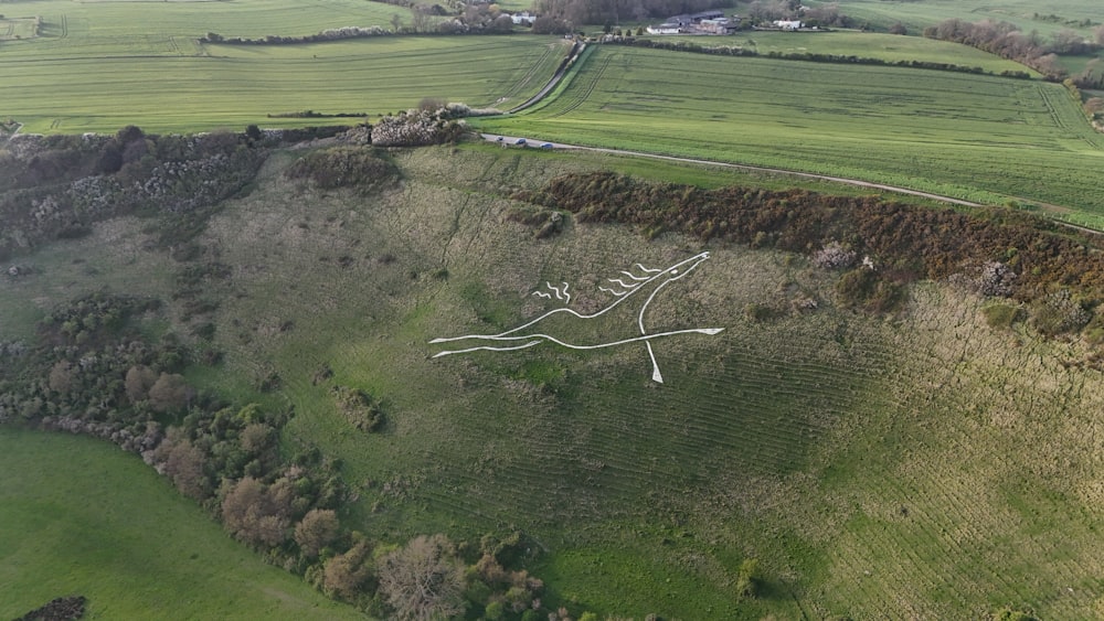 uma vista aérea de uma área gramada com uma grande figura branca no meio de