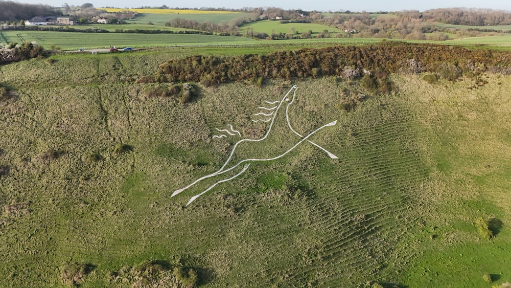 a bird's - eye view of an aerial view of a field with a