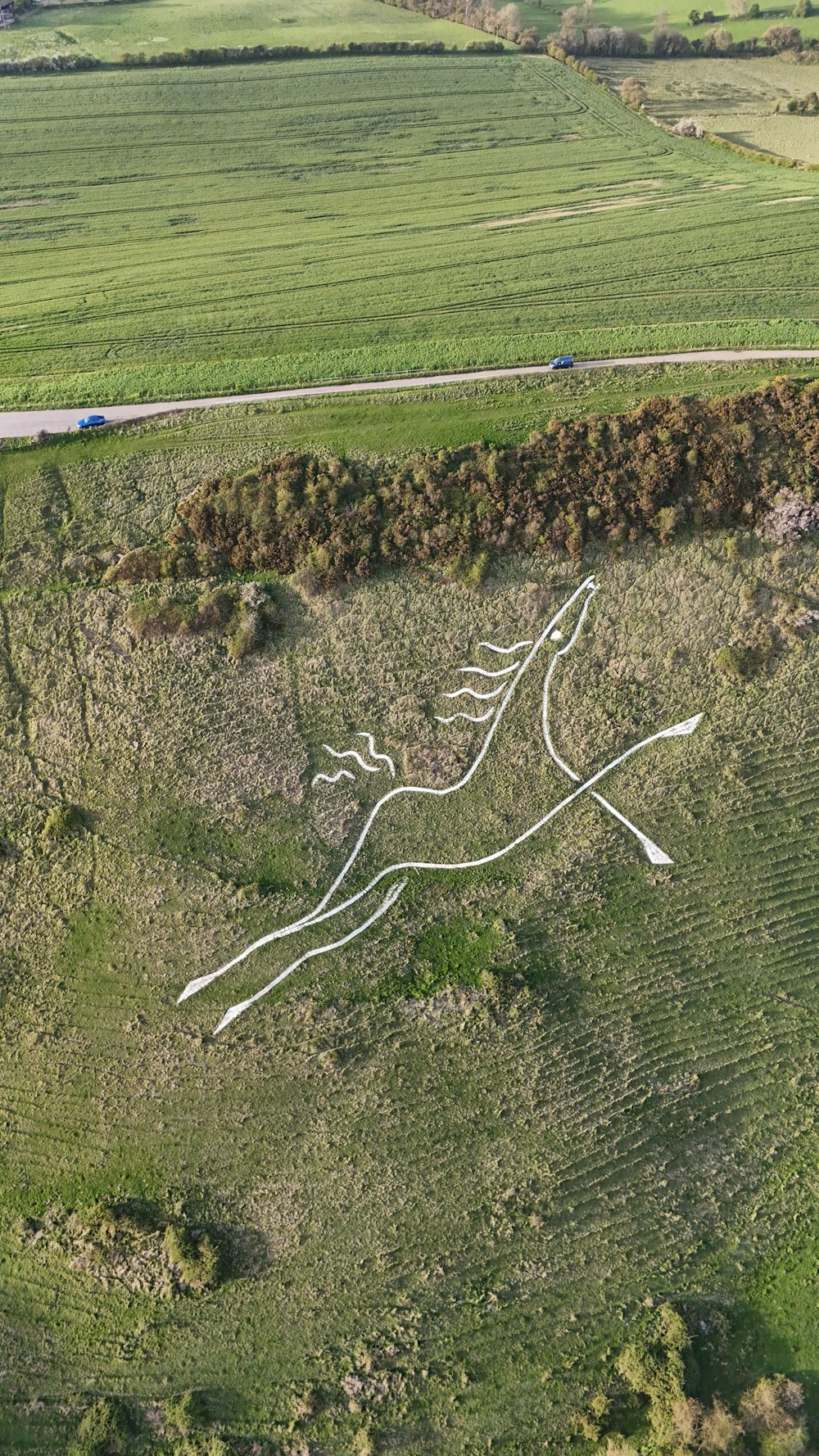 an aerial view of a horse drawn in the grass