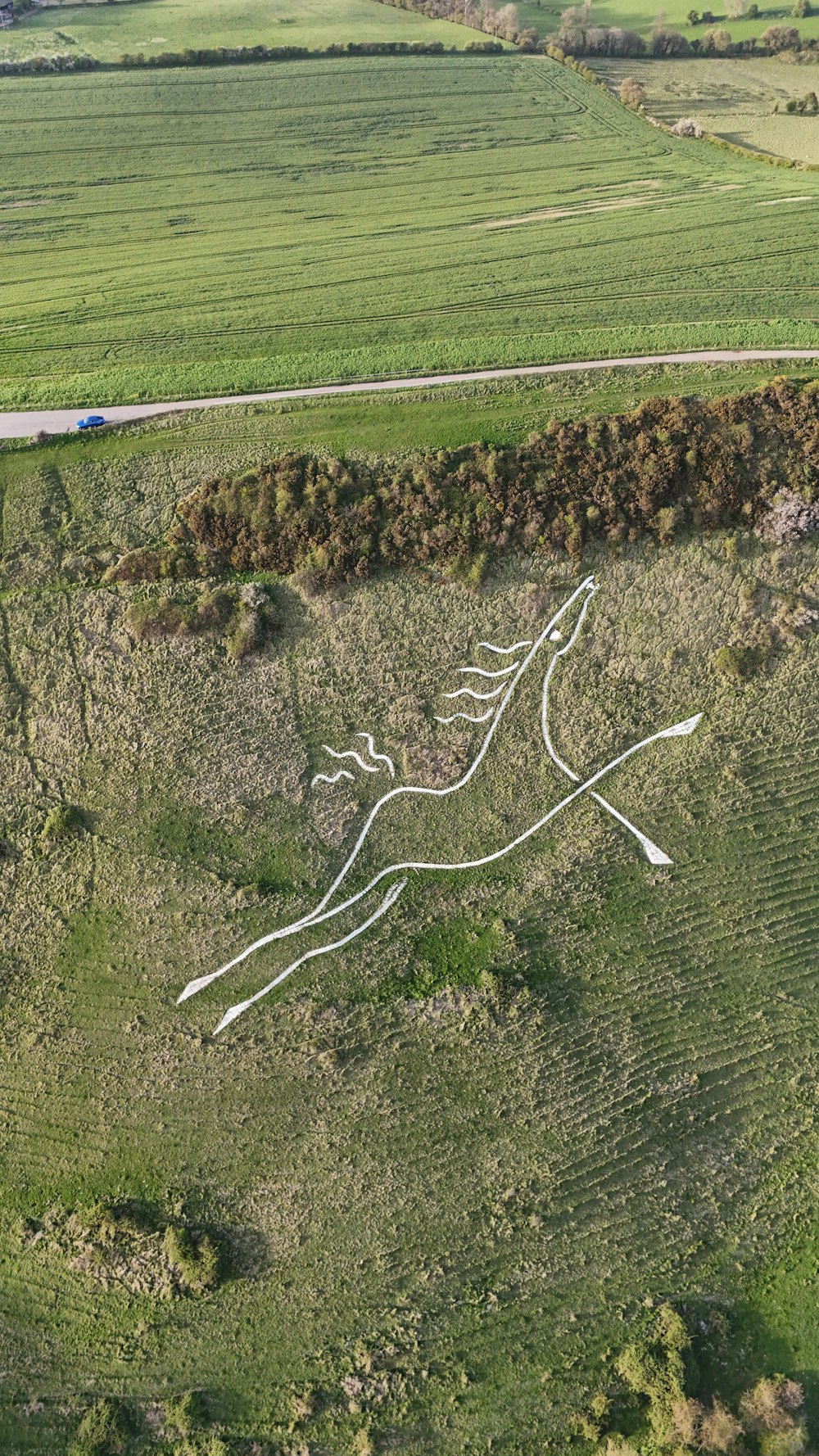 a bird's - eye view of a grassy area with a road running through