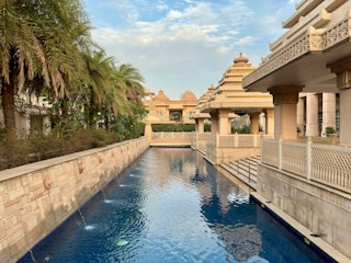 a large swimming pool surrounded by palm trees
