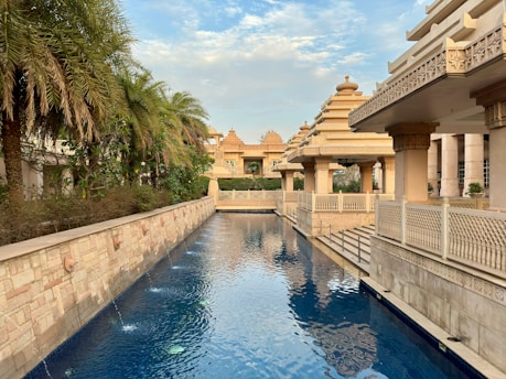 a large swimming pool surrounded by palm trees