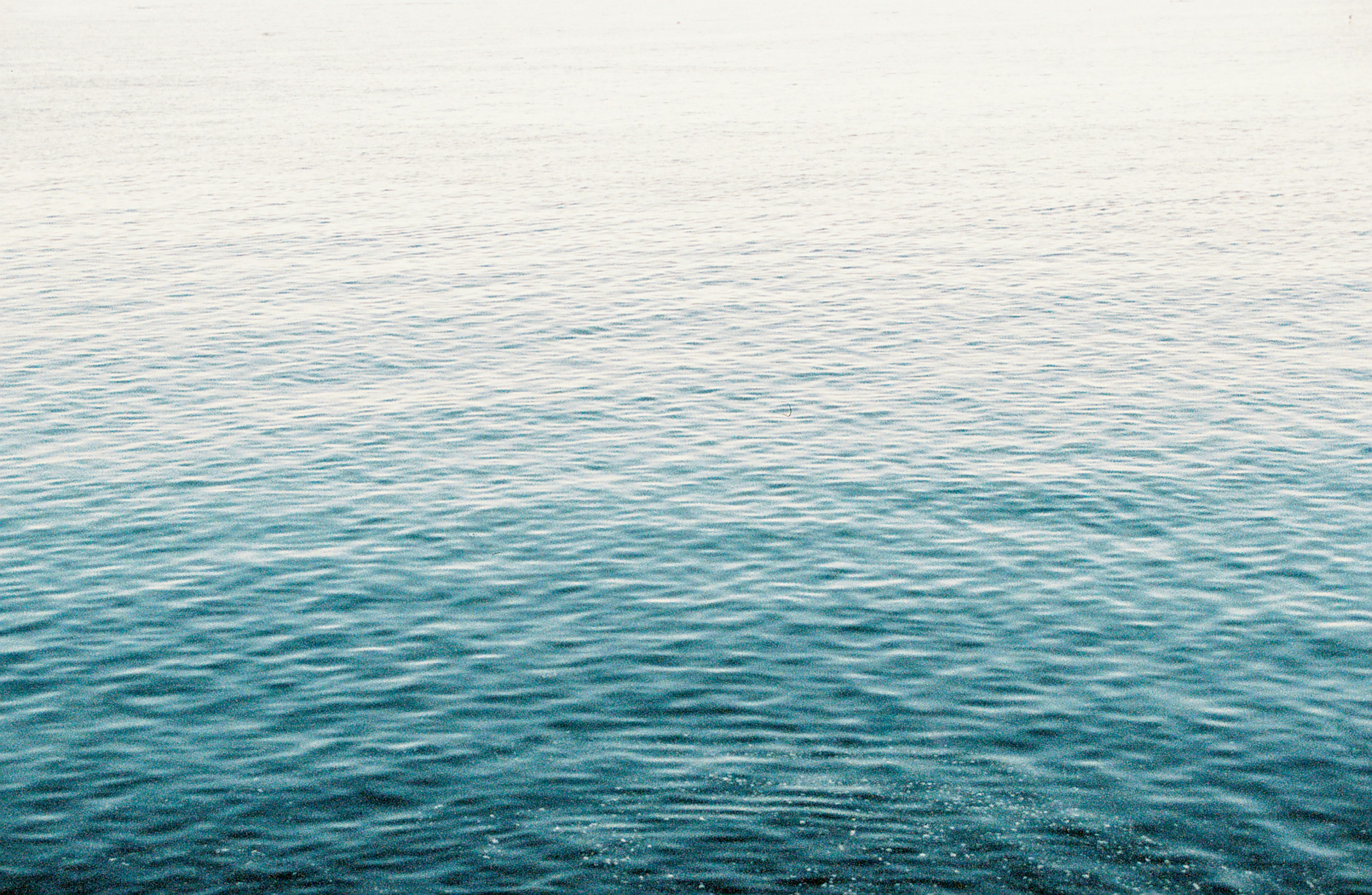 Photo by staceyknipe