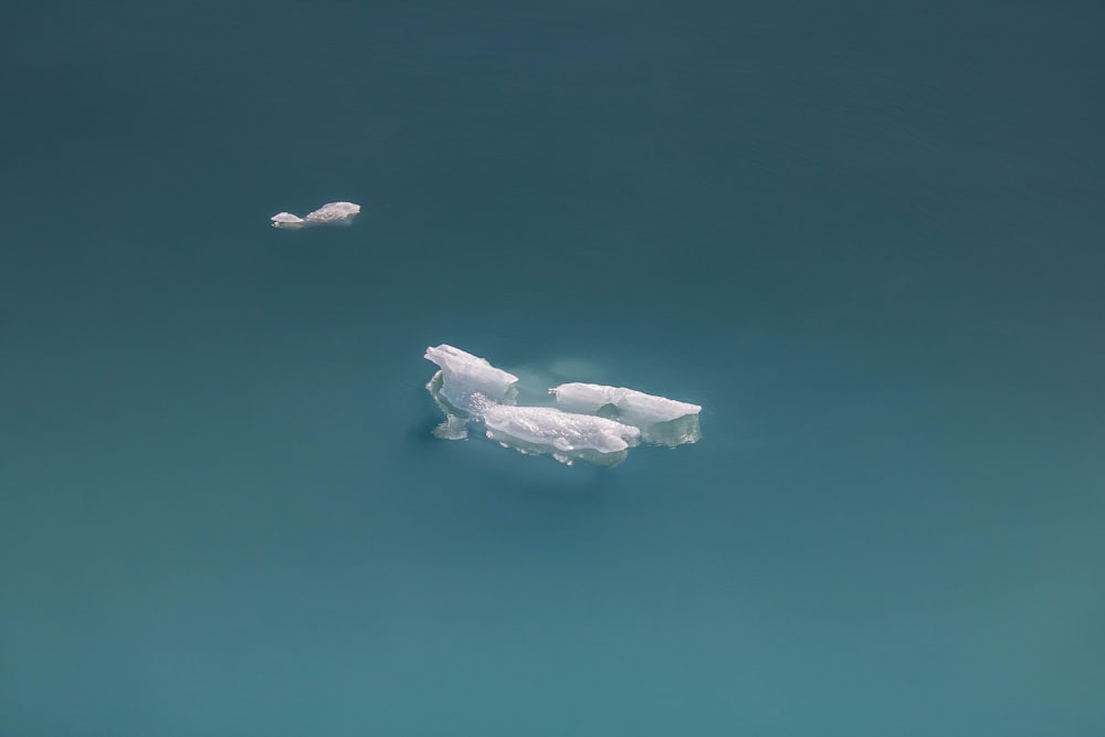 zwei Eisberge, die in einem Gewässer treiben