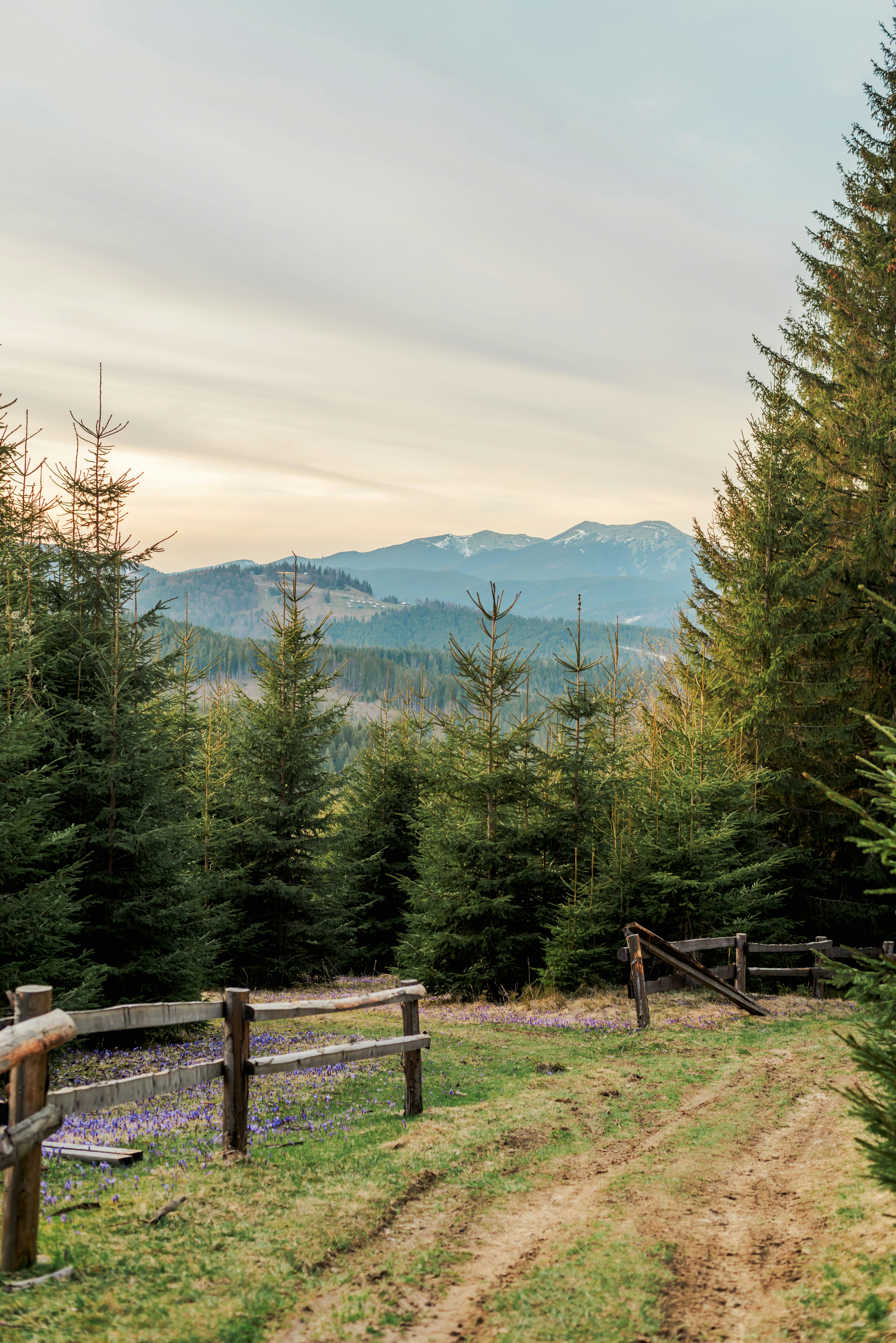 Photo by eugenivy_now