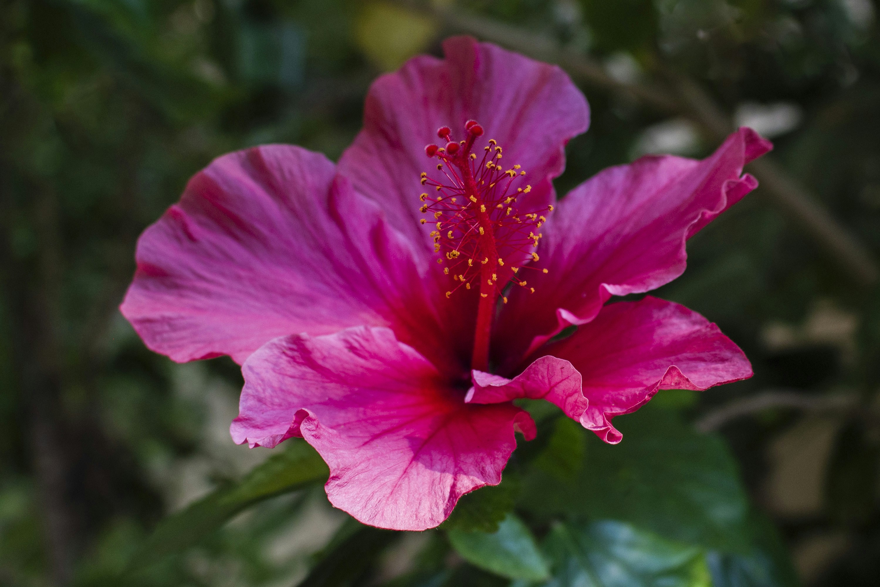 Photo by amylynngrover