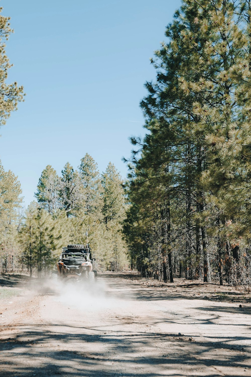 a jeep driving down a dirt road in the woods