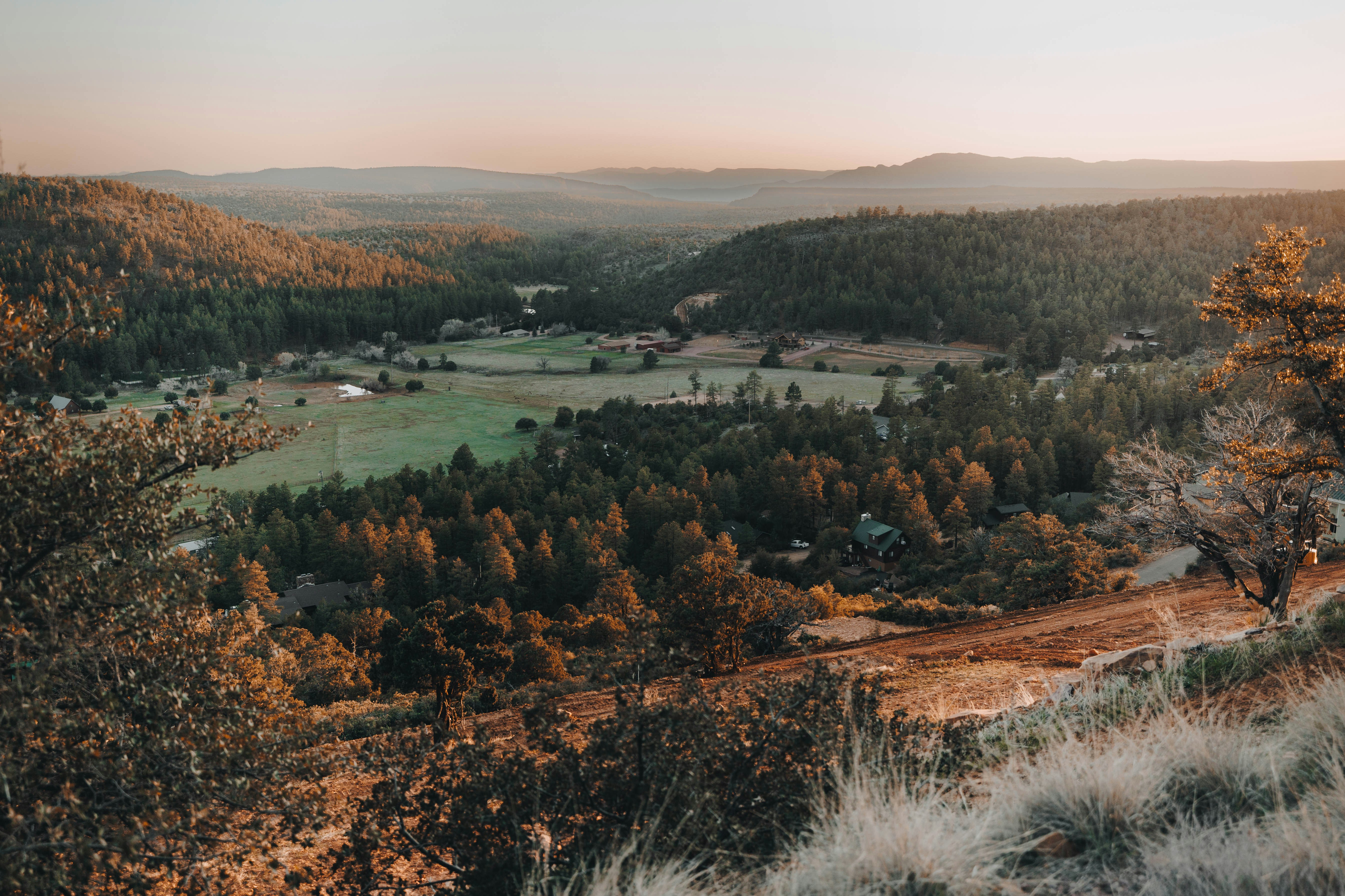 Photo by jeffersonsees