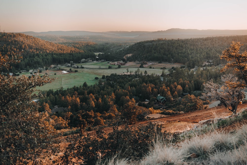 a scenic view of a valley surrounded by trees