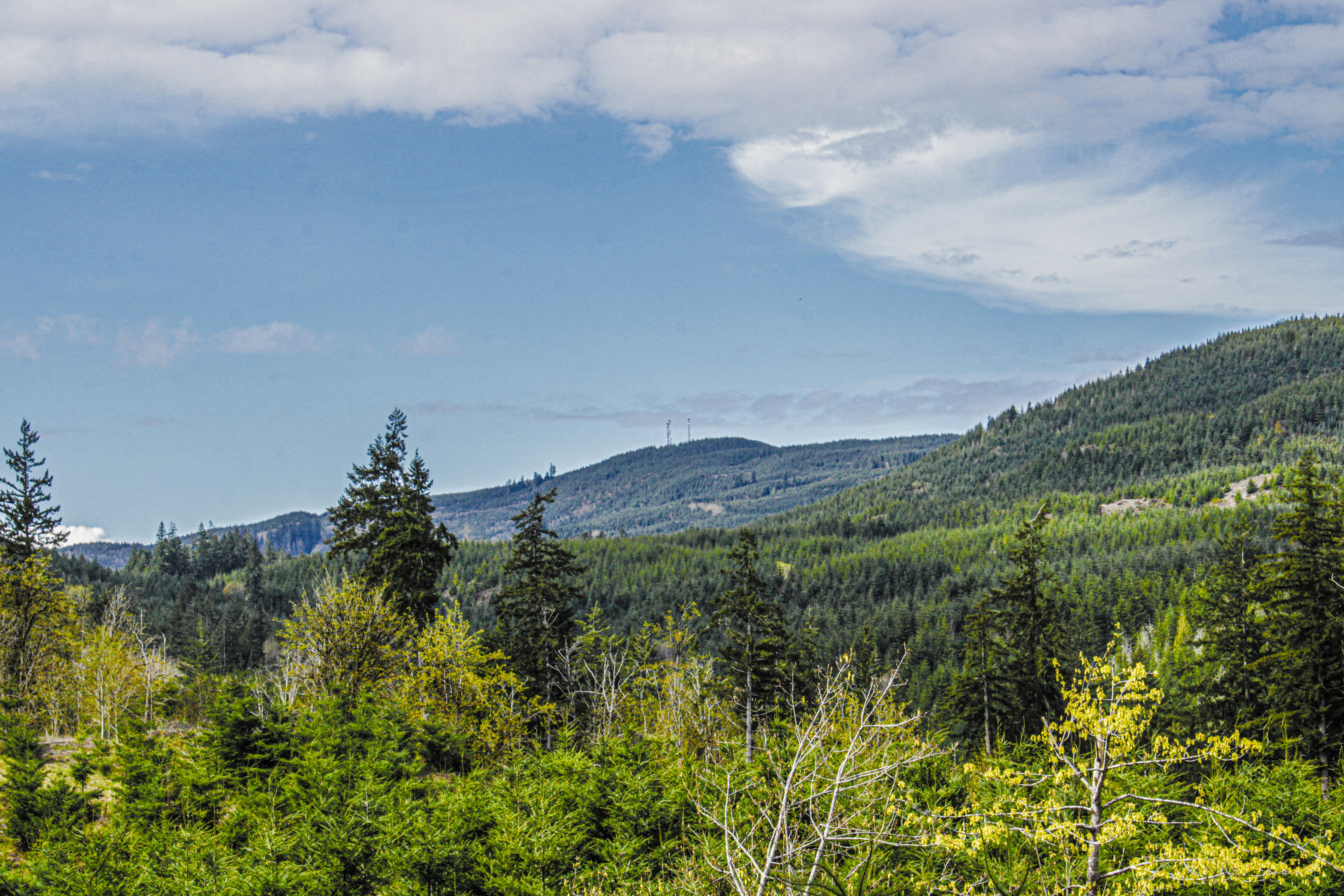 Photo by prphotography262