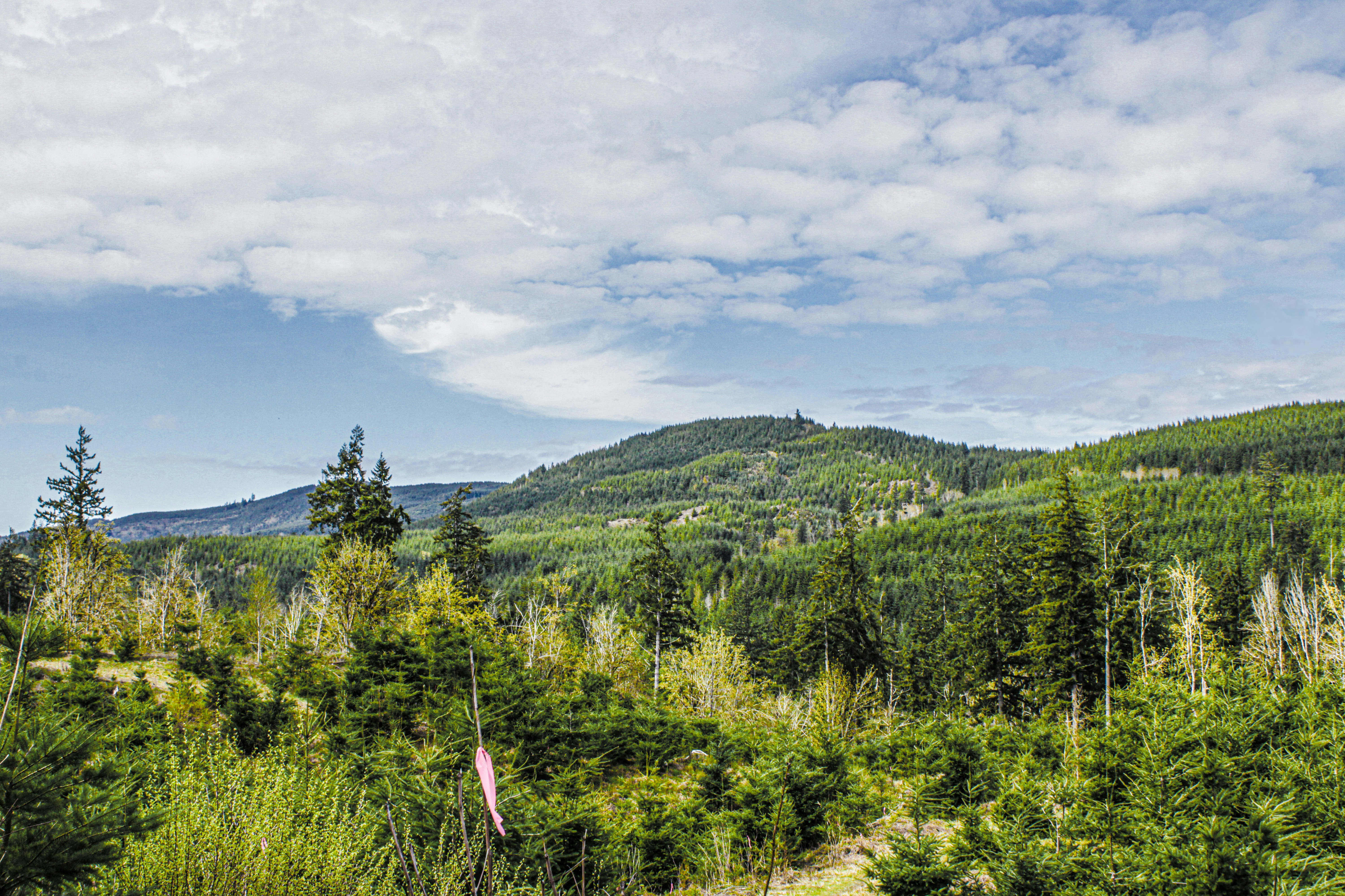 Photo by prphotography262