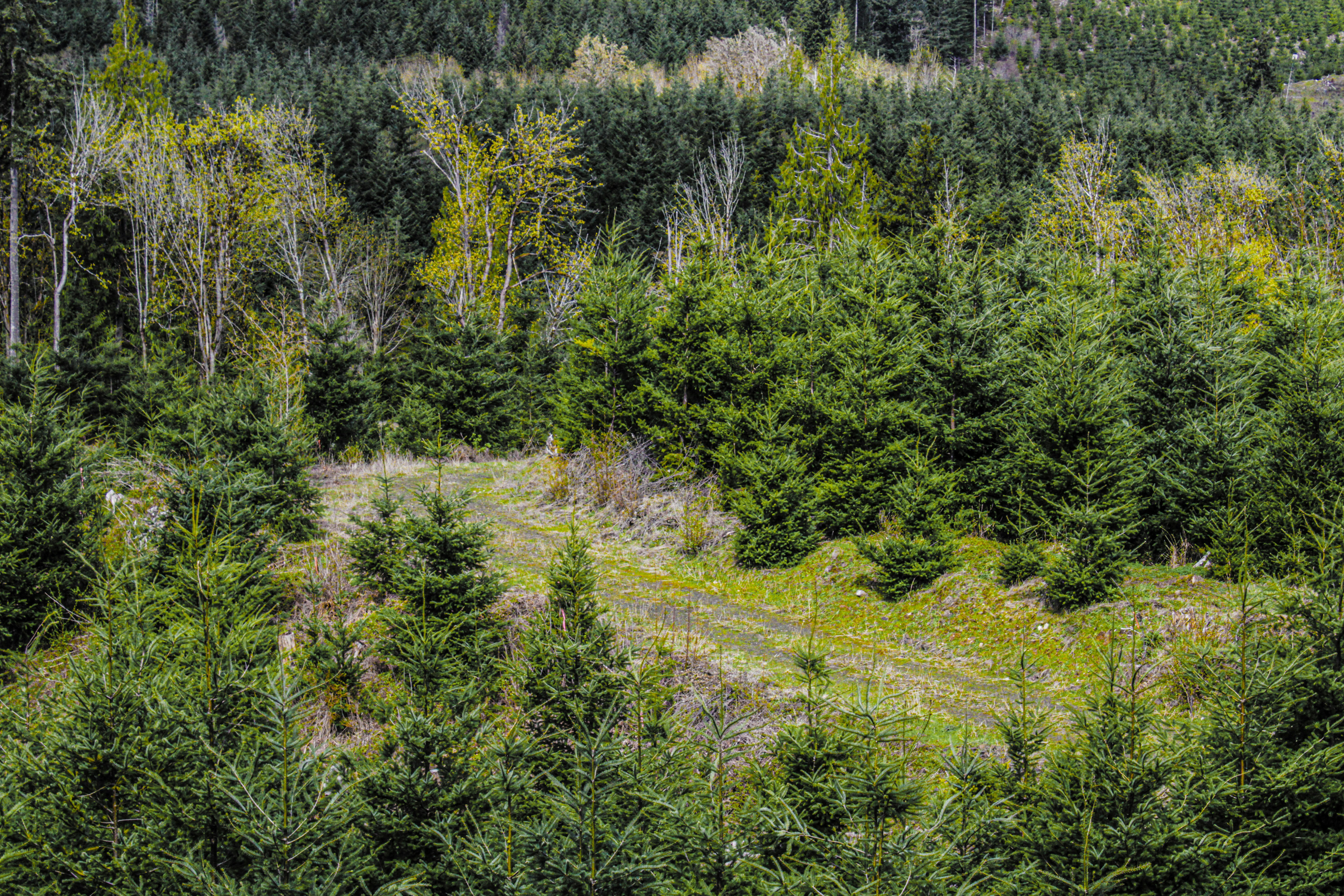 Photo by prphotography262