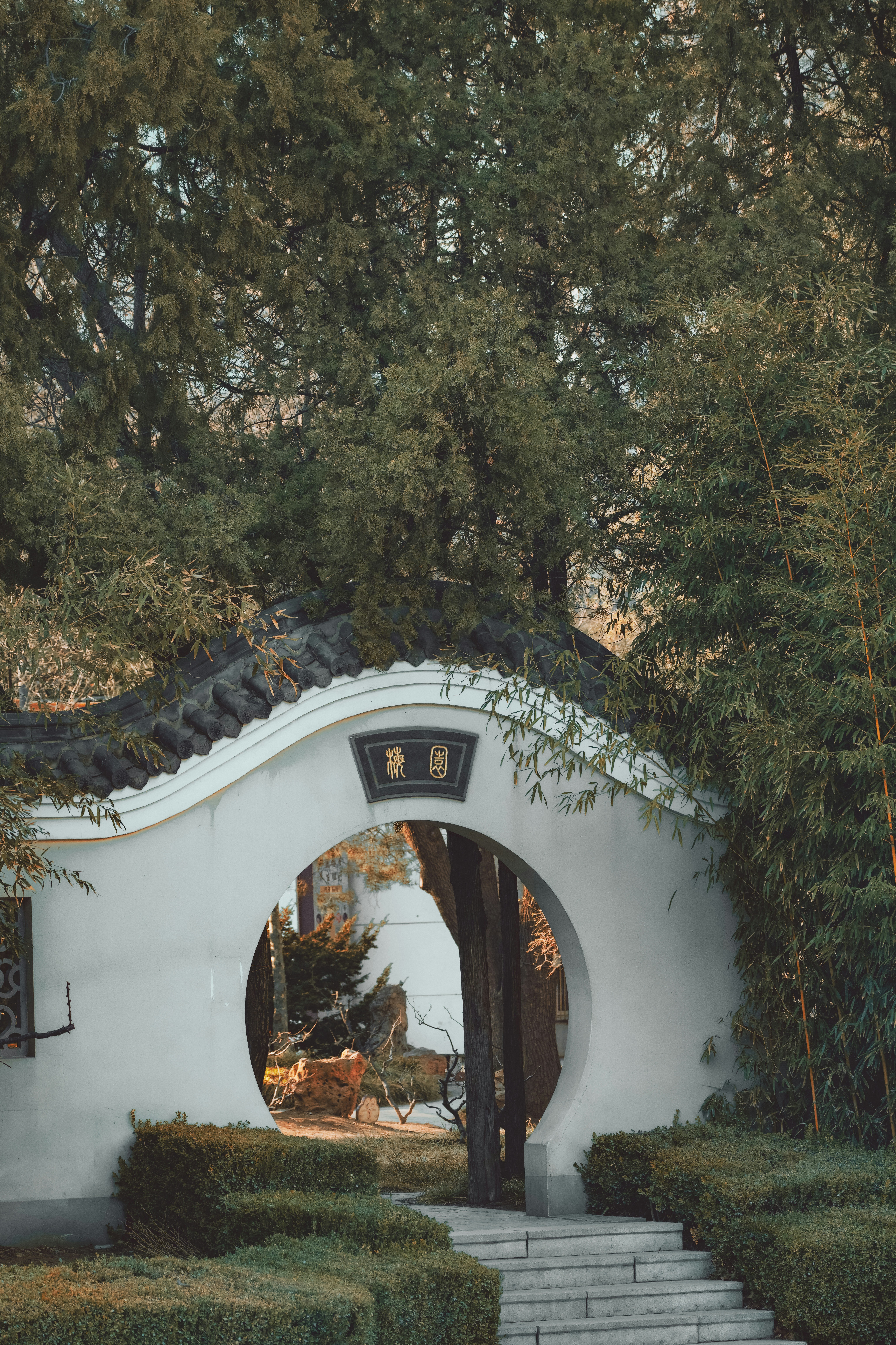 Photo by hattrick1996