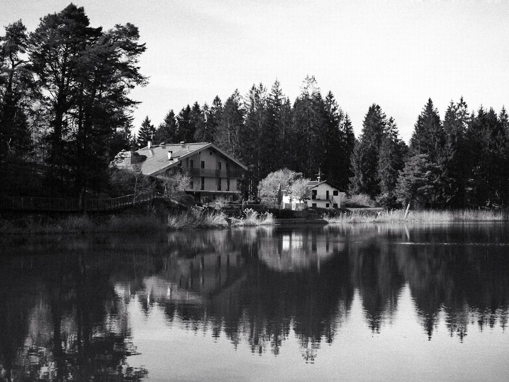 a large body of water surrounded by trees