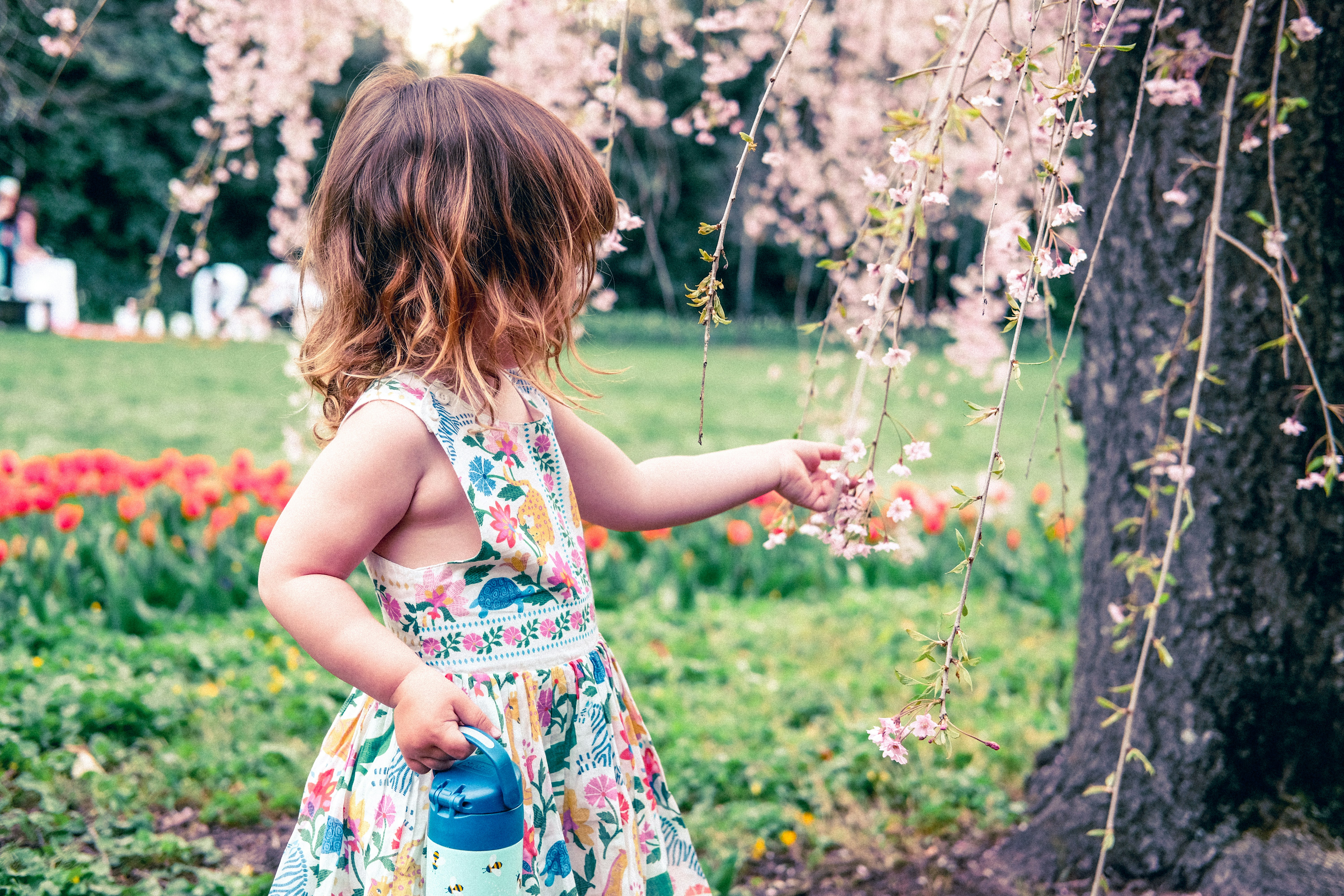 Photo by aylameinberg