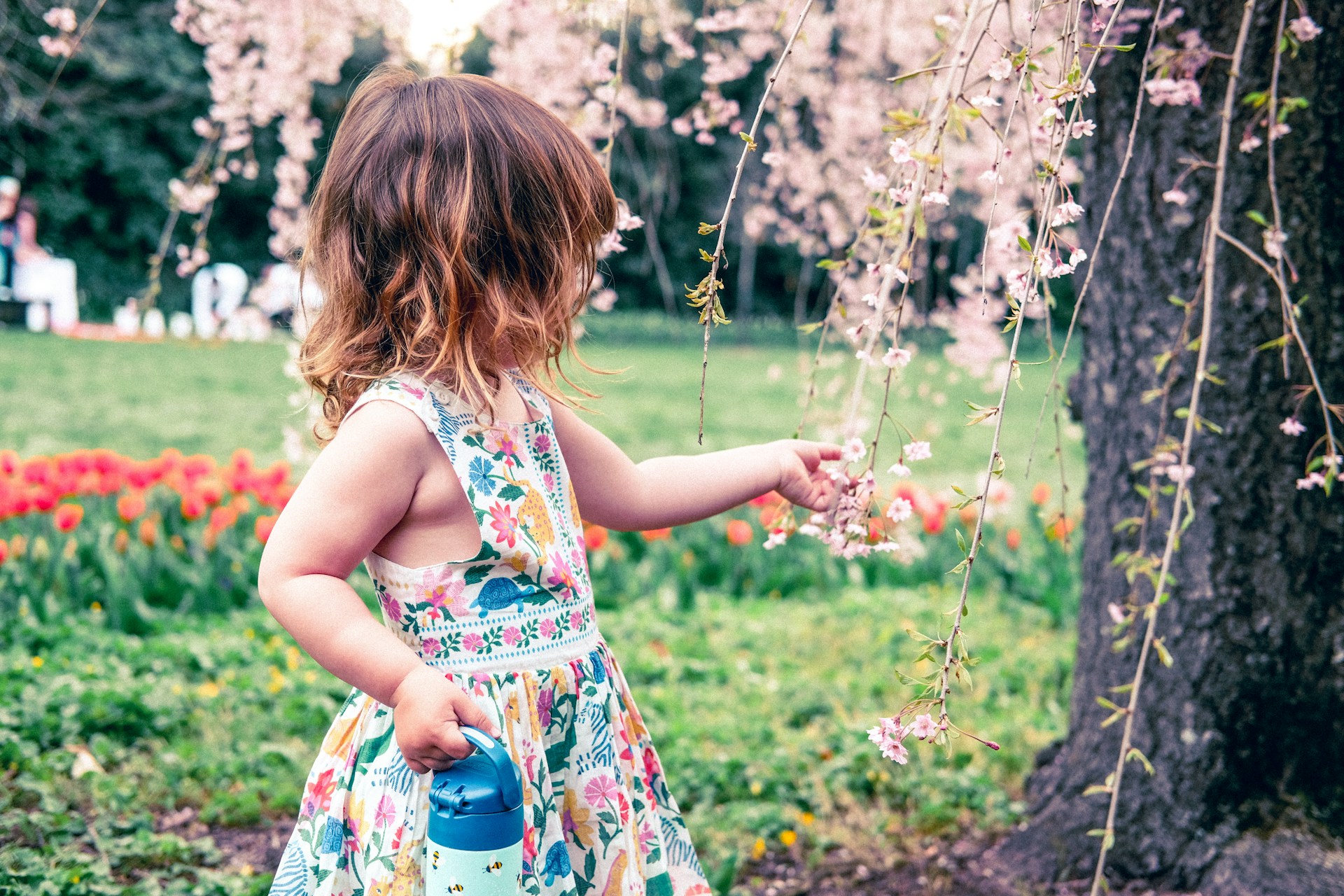 a little girl standing in a field of flowers