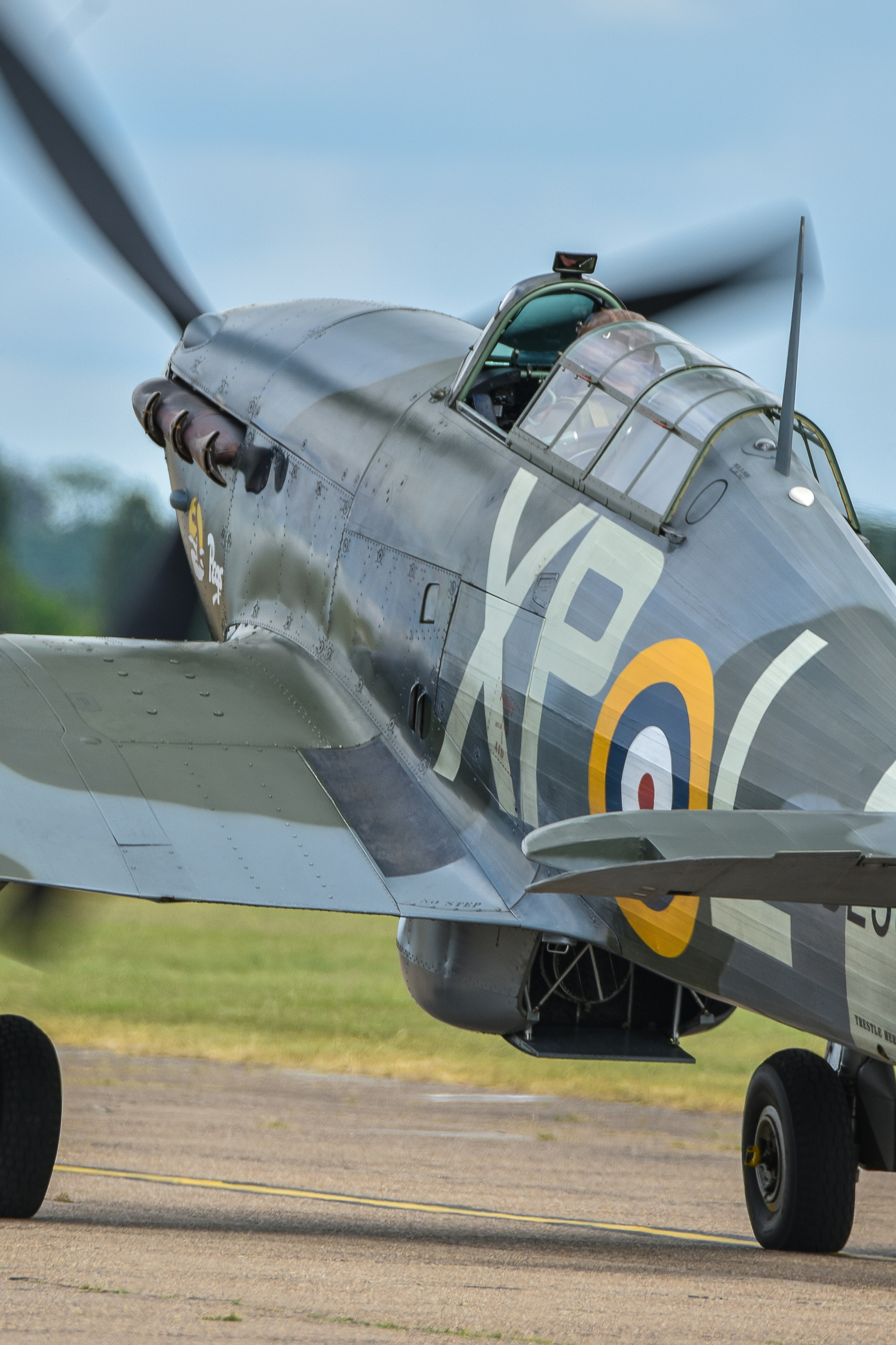 Photo by matty_pearce