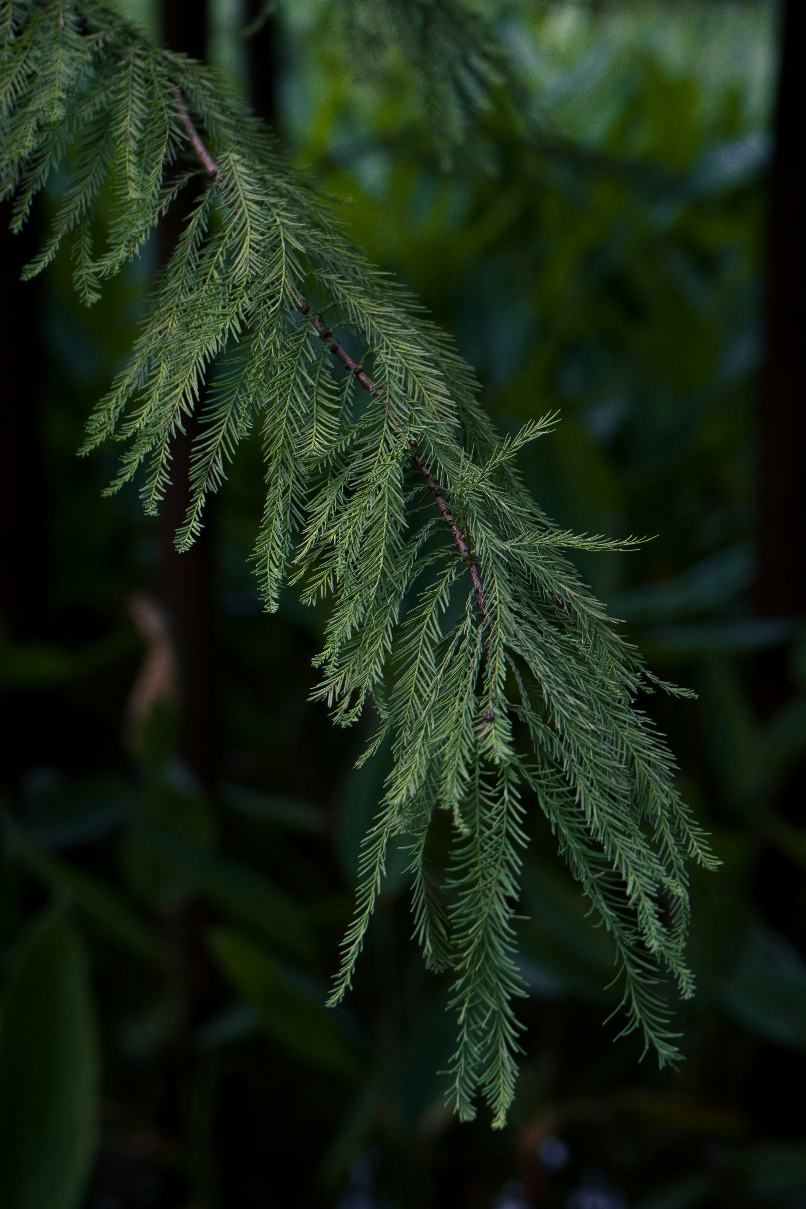 Photo by chuntung_kam