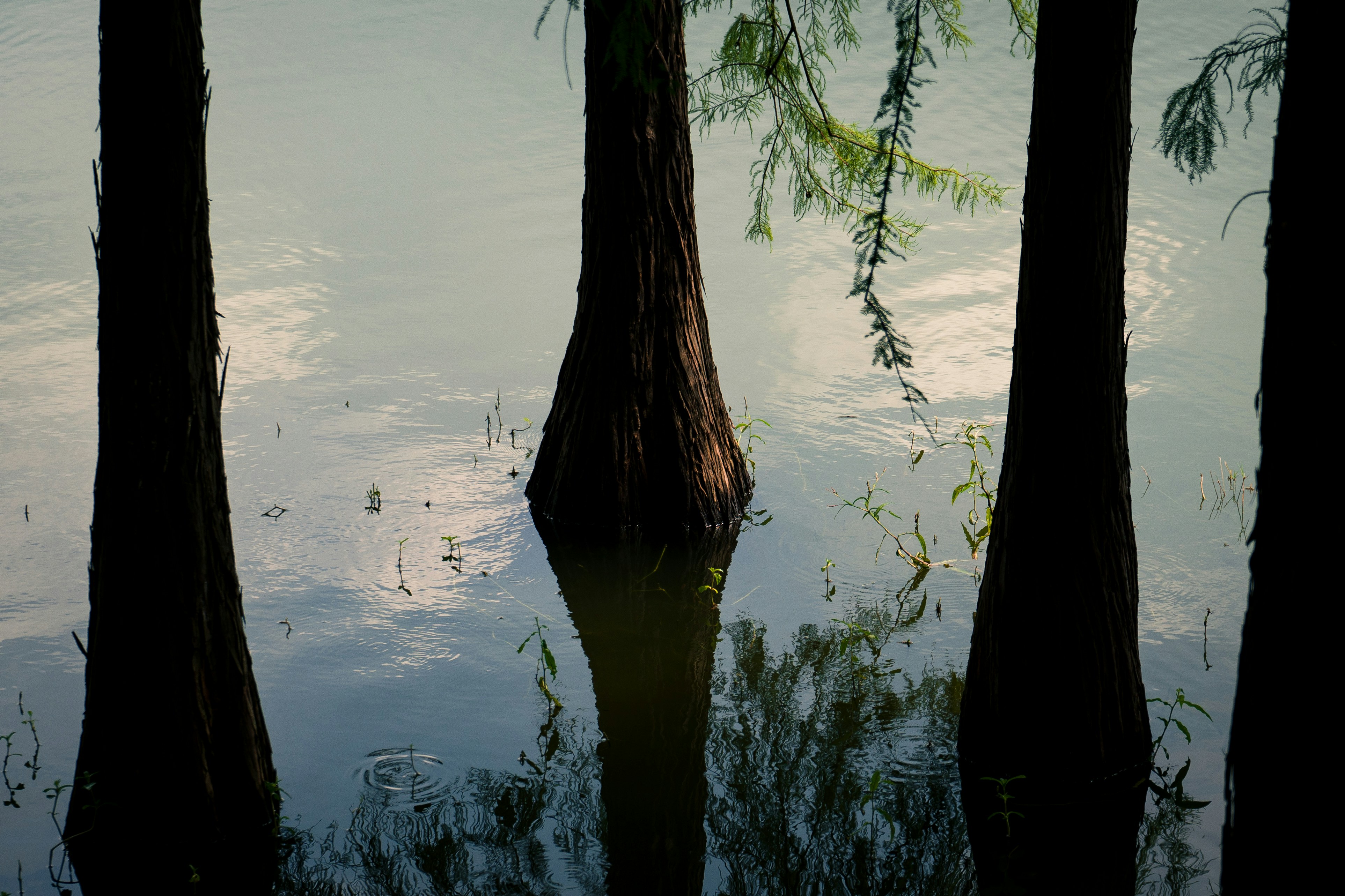 Photo by chuntung_kam