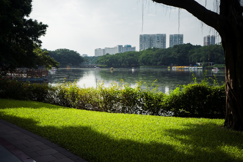 a view of a body of water with a city in the background