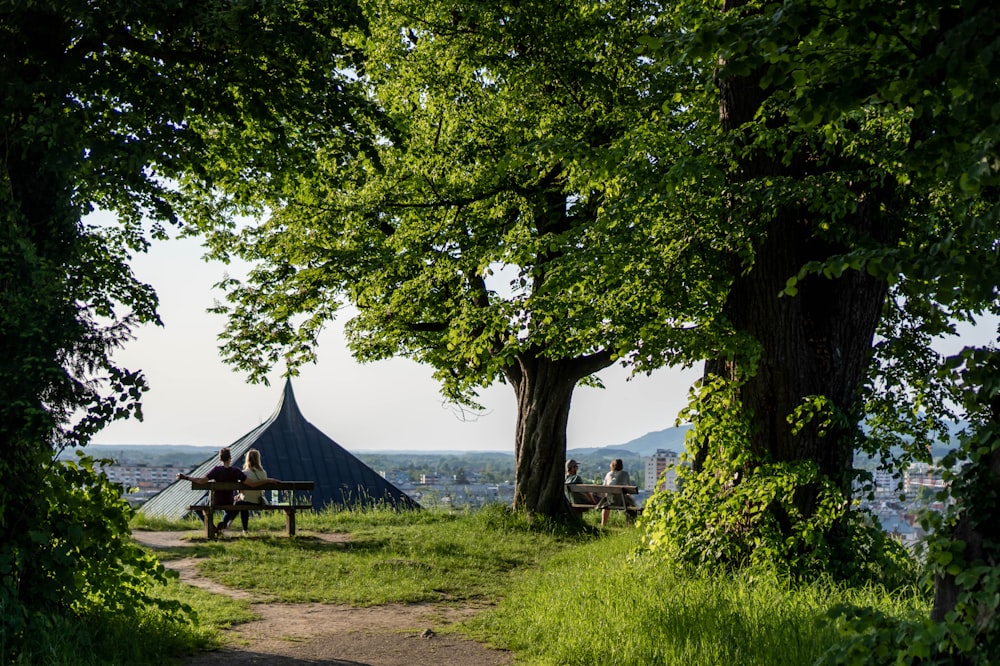 a couple of people sitting on a bench under a tree